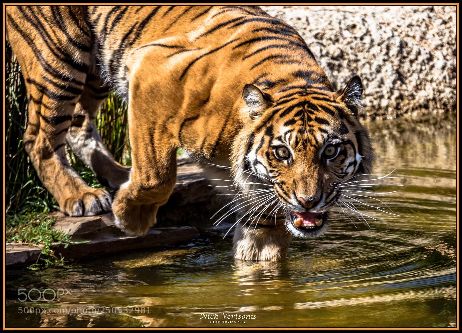 Nikon D7200 sample photo. Join me for a photography