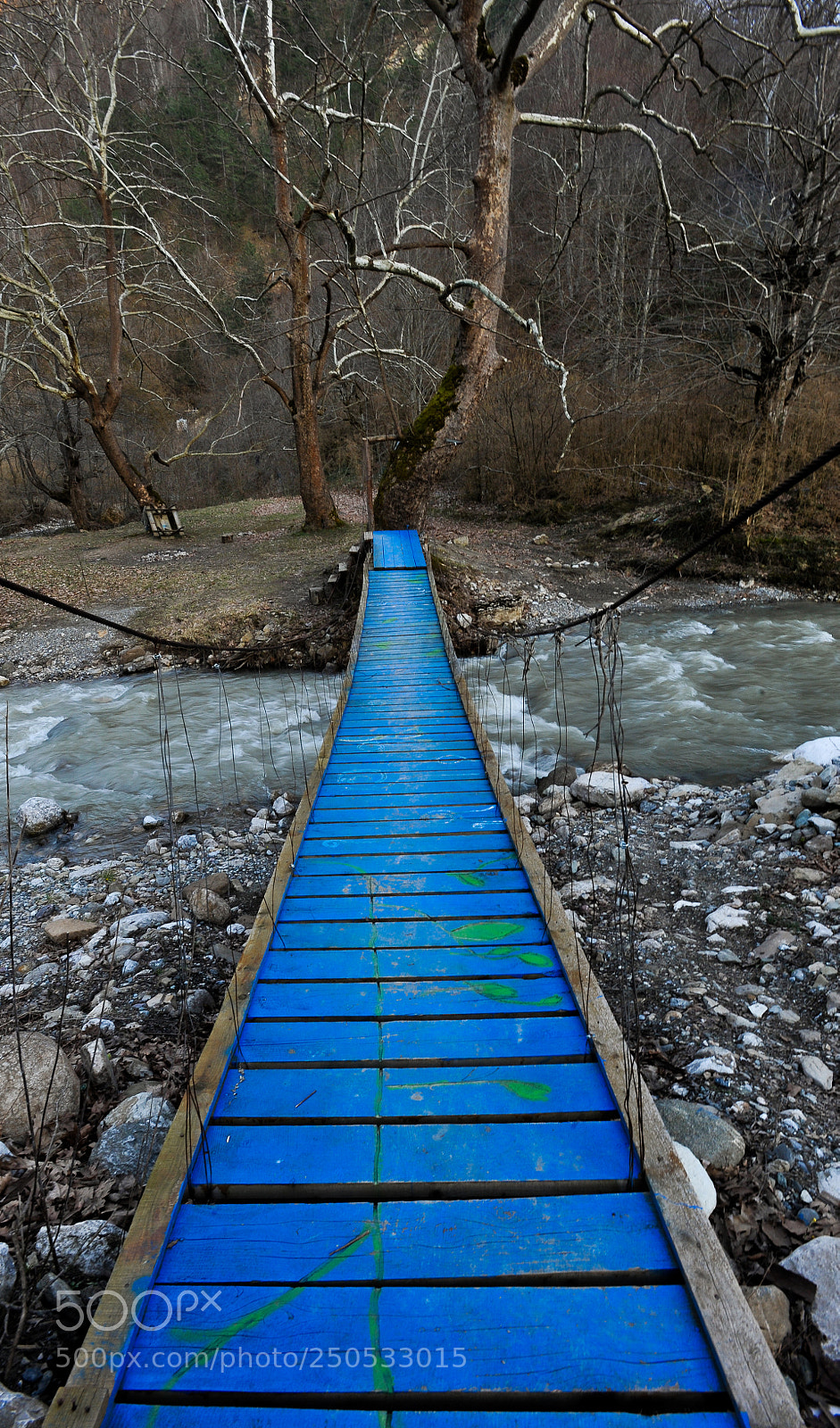 Nikon D3 sample photo. Bridge photography