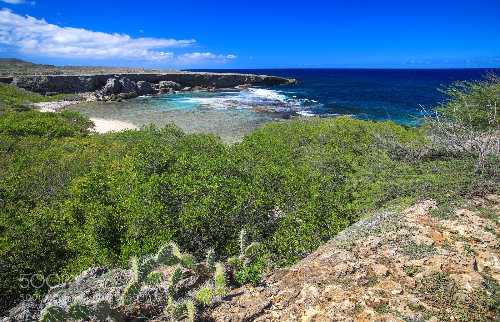 Canon EOS 5D Mark IV sample photo. Curacao 28 photography