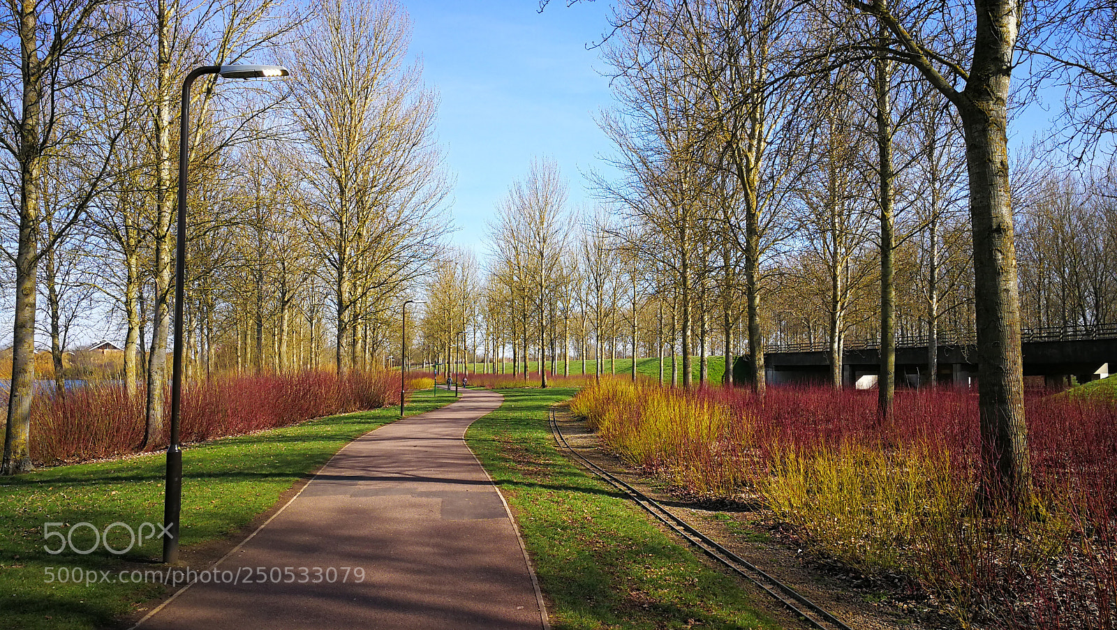HUAWEI Mate 9 sample photo. Caminos de colores photography