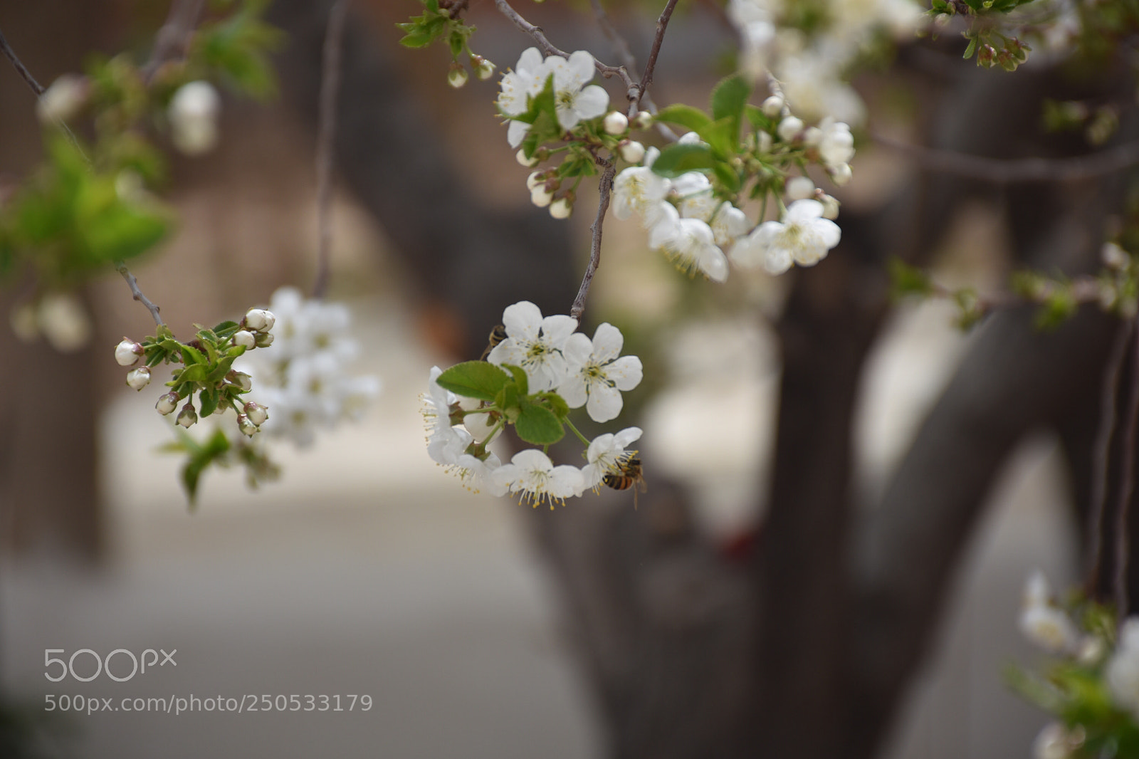 Nikon D7200 sample photo. Untitled photography
