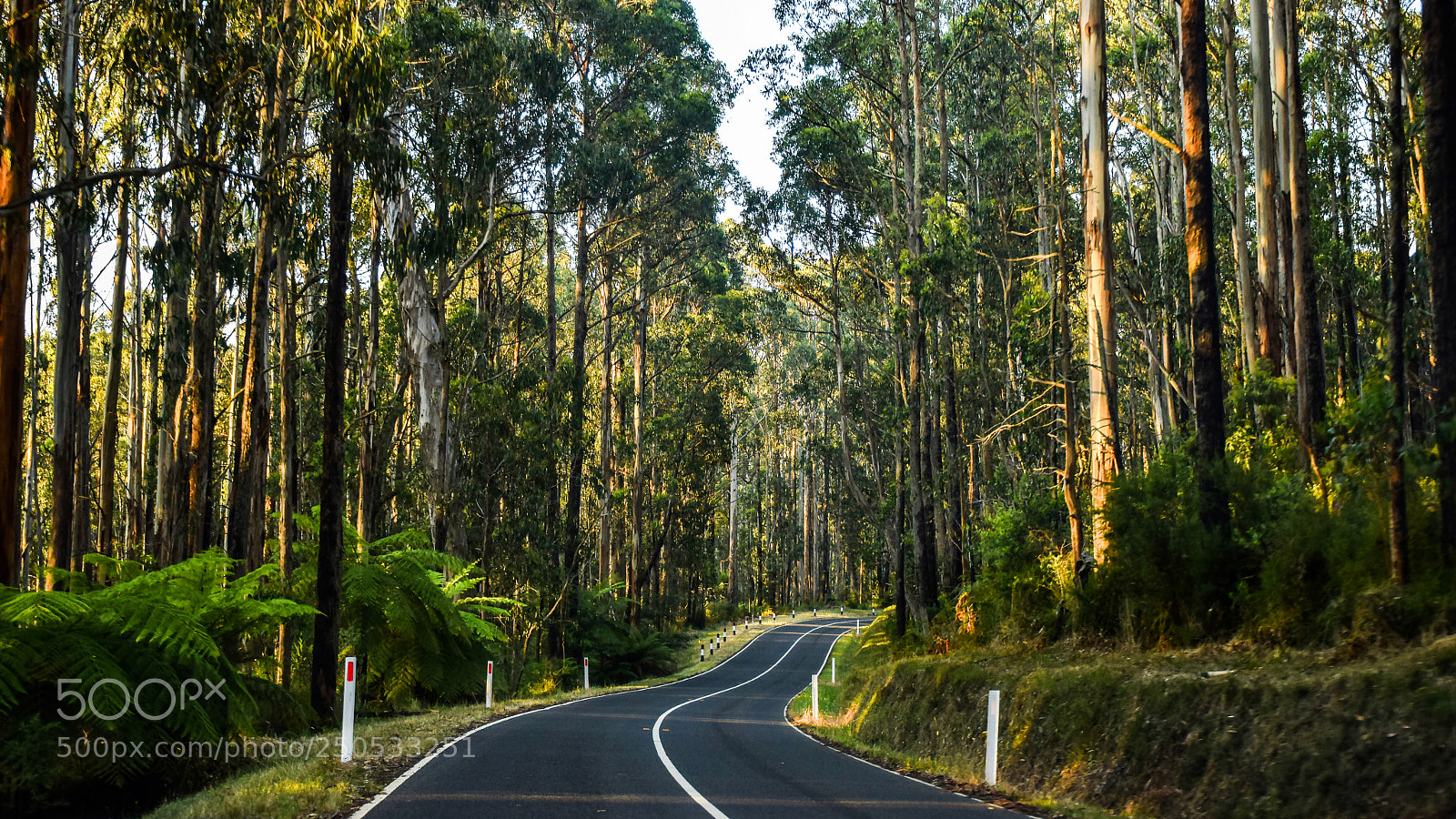 Nikon D3300 sample photo. Road photography