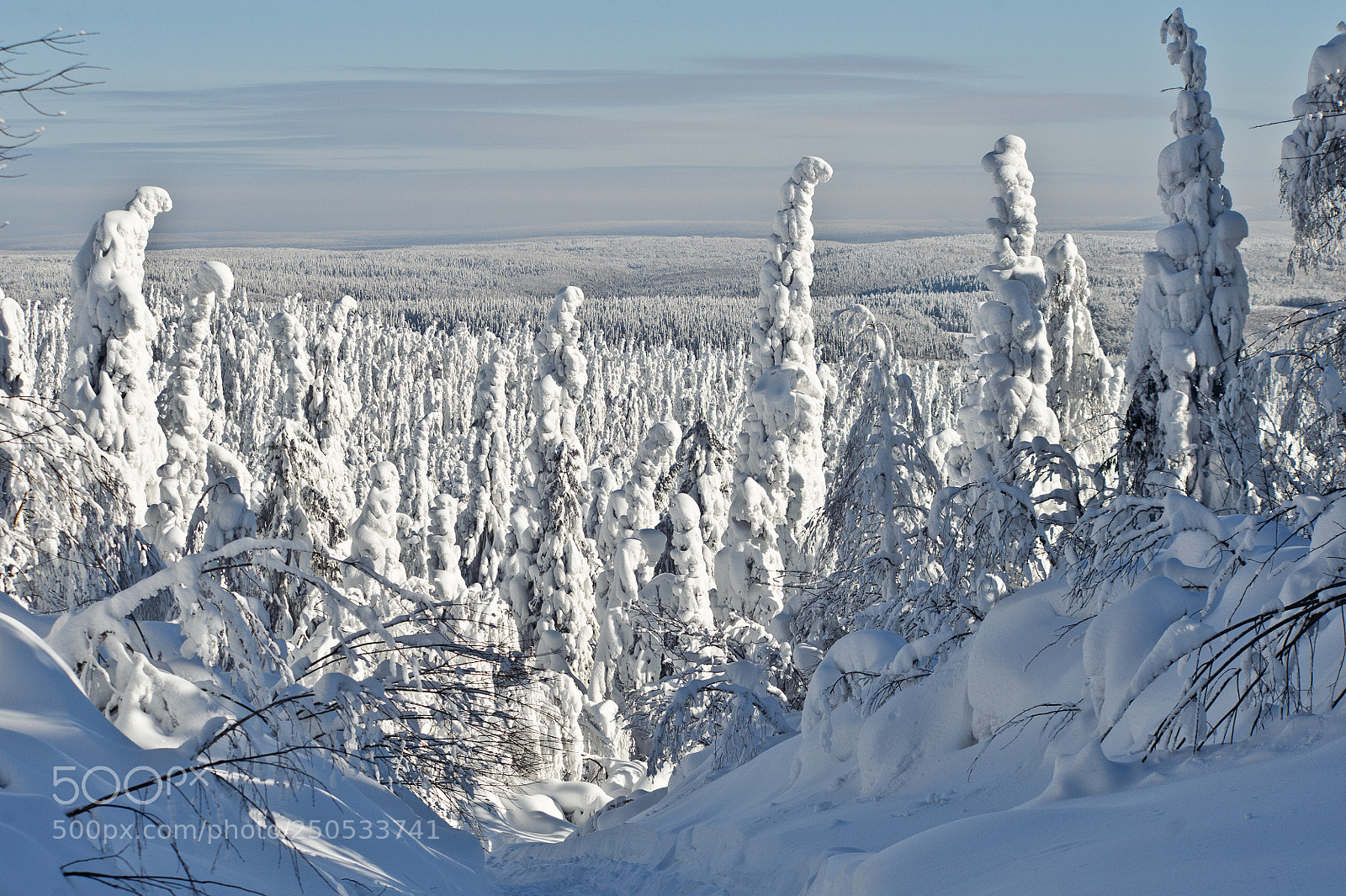 Nikon D700 sample photo. Снежная сказка Полюда photography