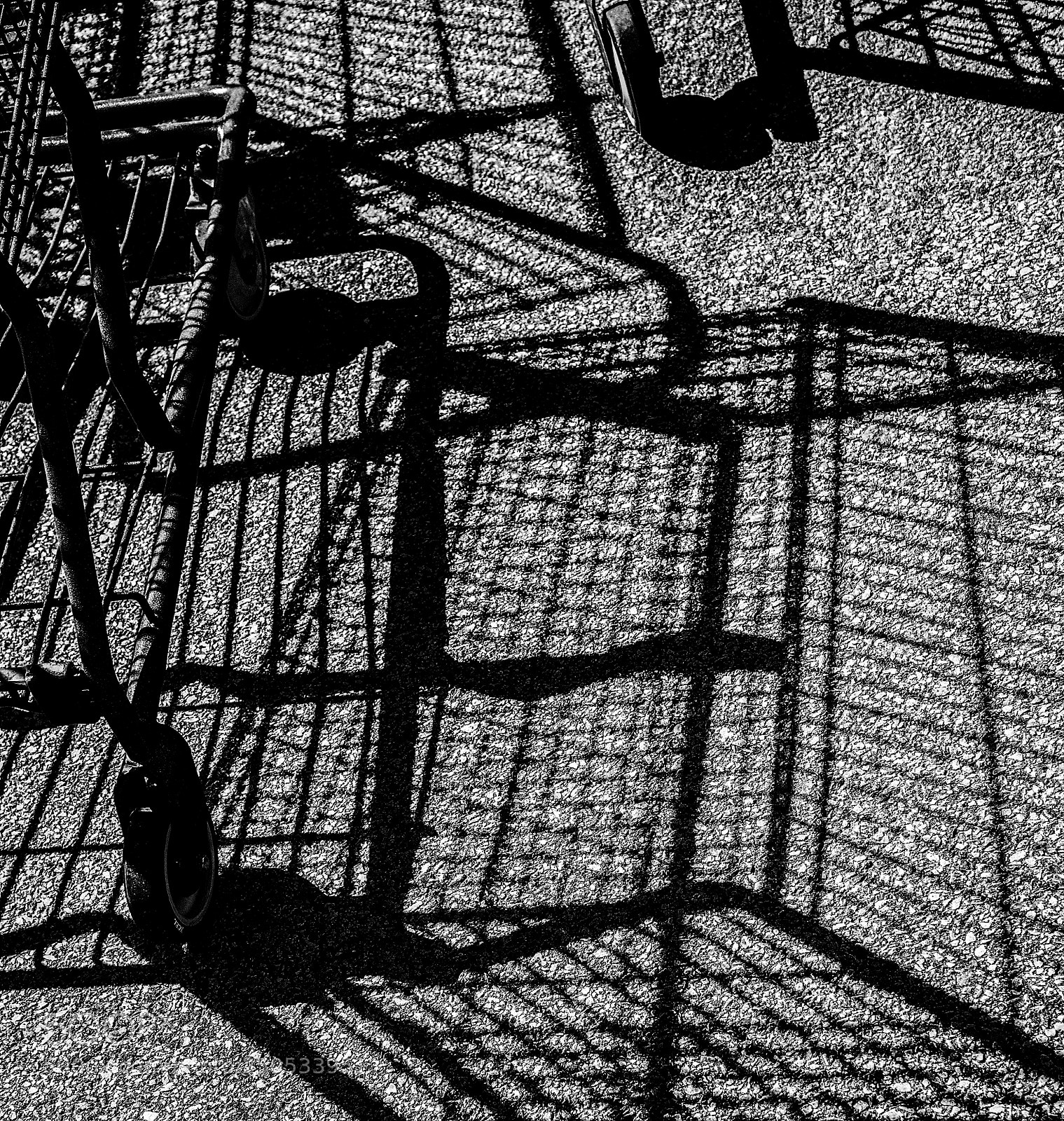 Nikon D610 sample photo. Shopping carts photography