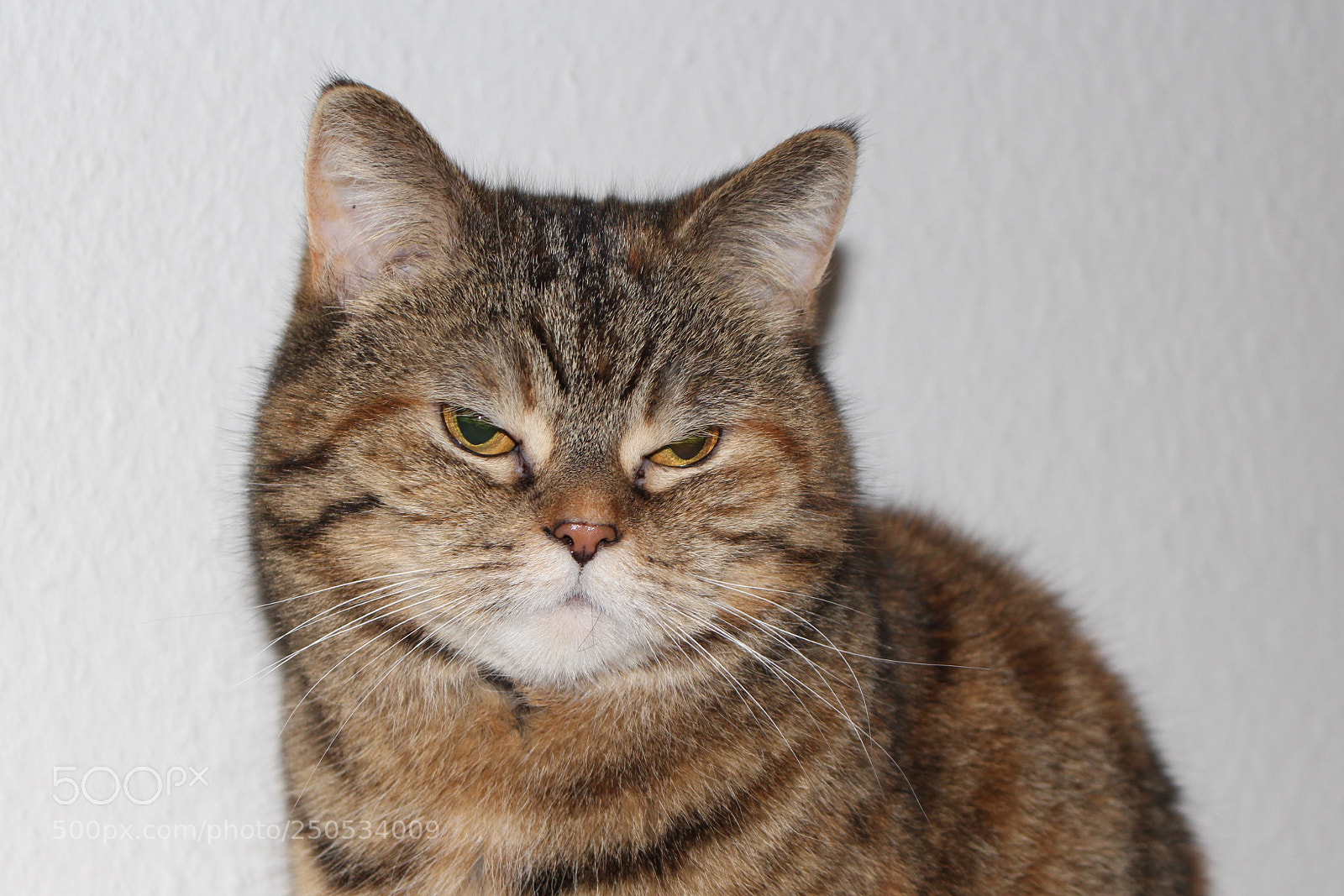 Canon EOS 700D (EOS Rebel T5i / EOS Kiss X7i) sample photo. Nobody likes me photography