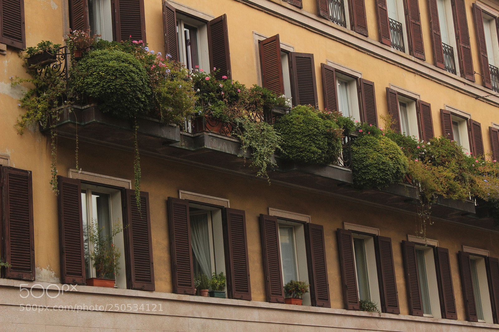 Canon EOS 600D (Rebel EOS T3i / EOS Kiss X5) sample photo. The aesthetic of italian photography