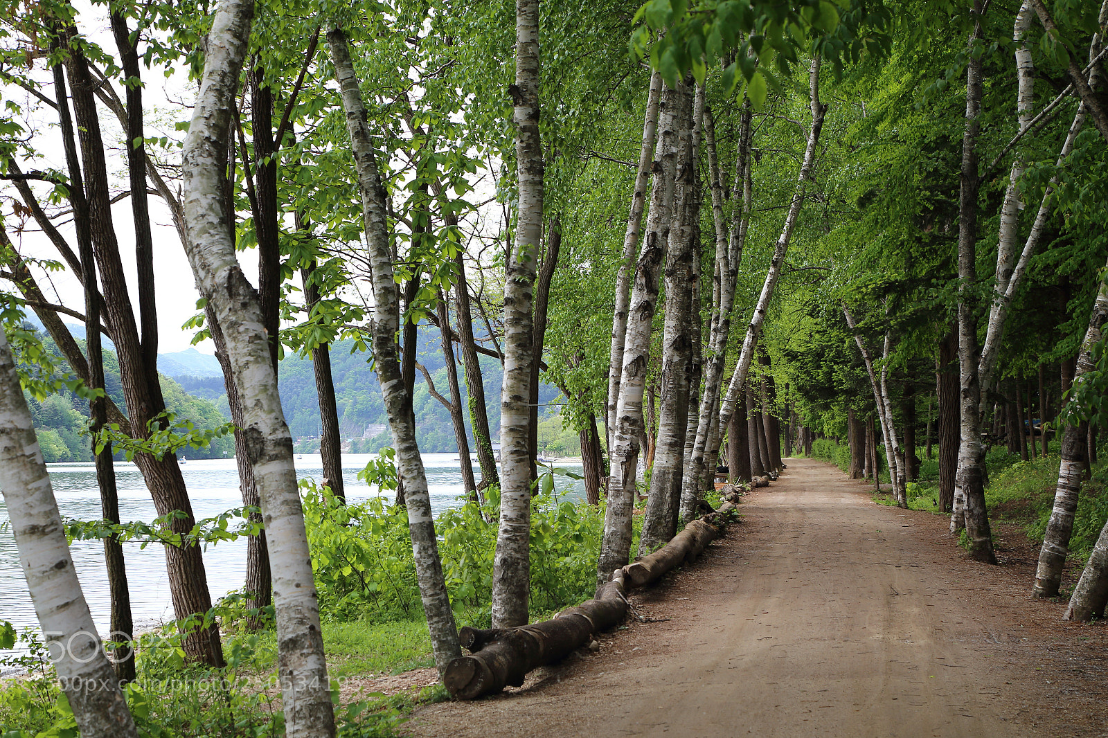 Canon EOS 6D + Canon EF 24-105mm F4L IS USM sample photo. Img photography