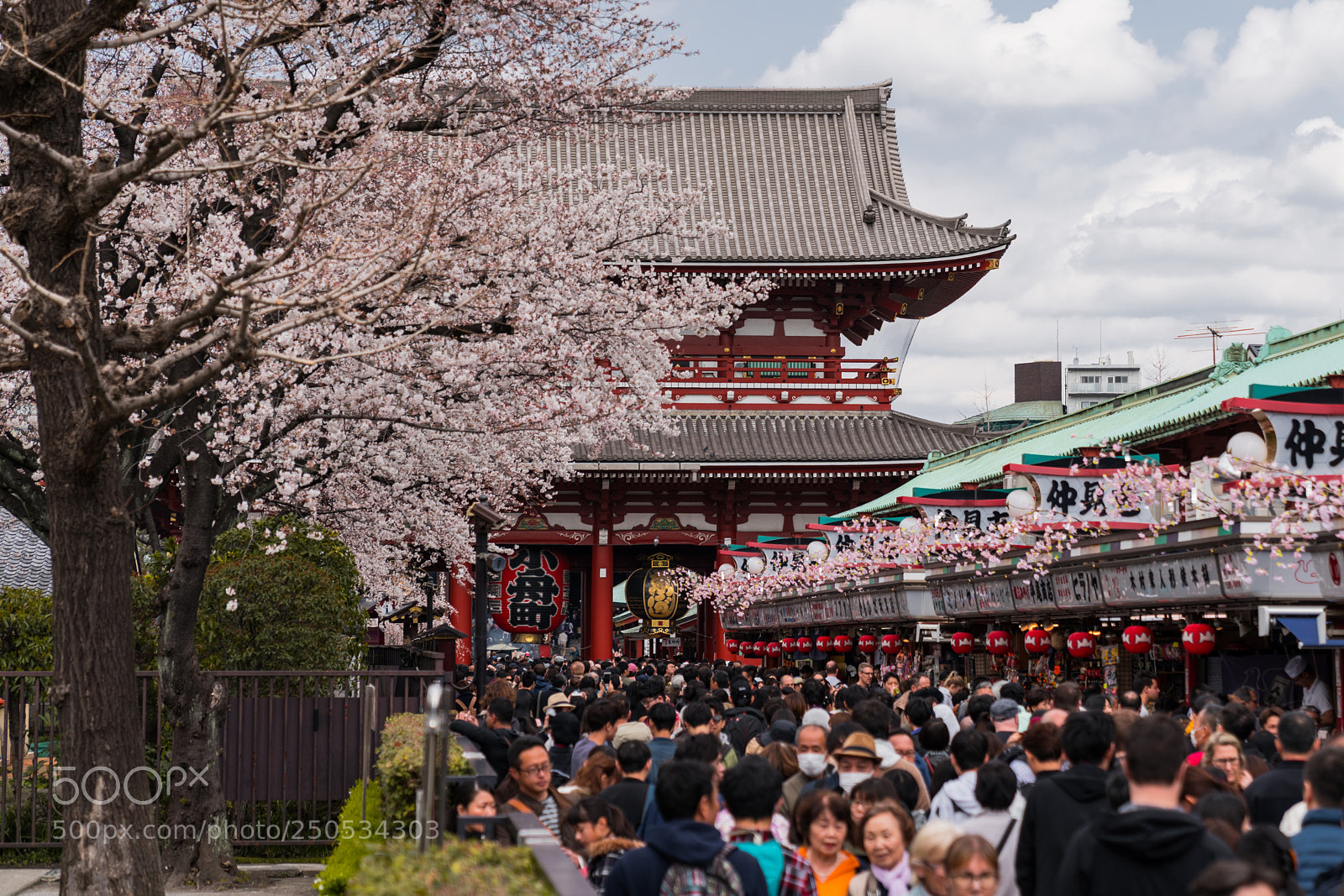 Sony a7R III sample photo. Dsc photography