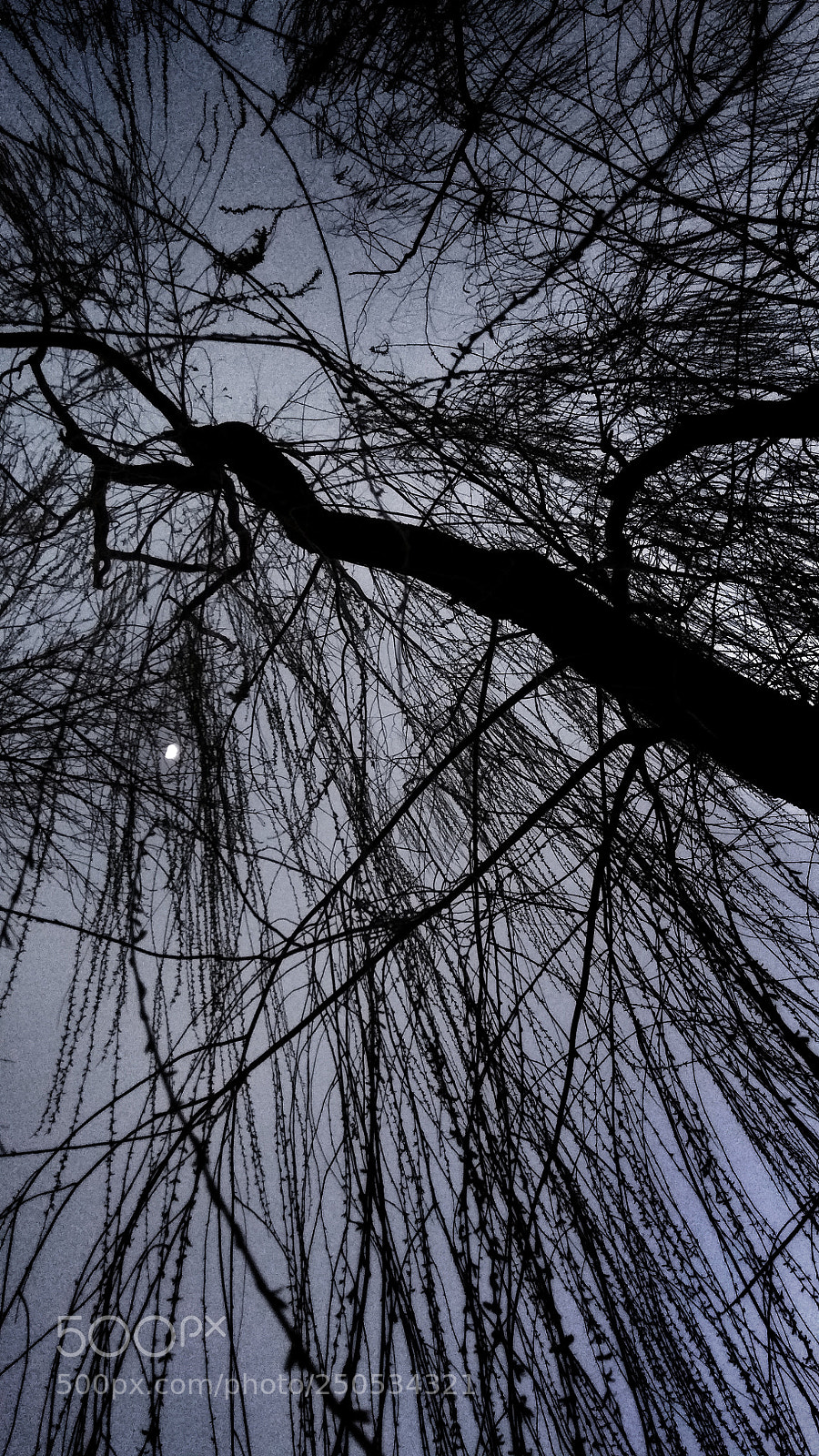 Xiaomi Redmi Note 4X sample photo. Moon photography