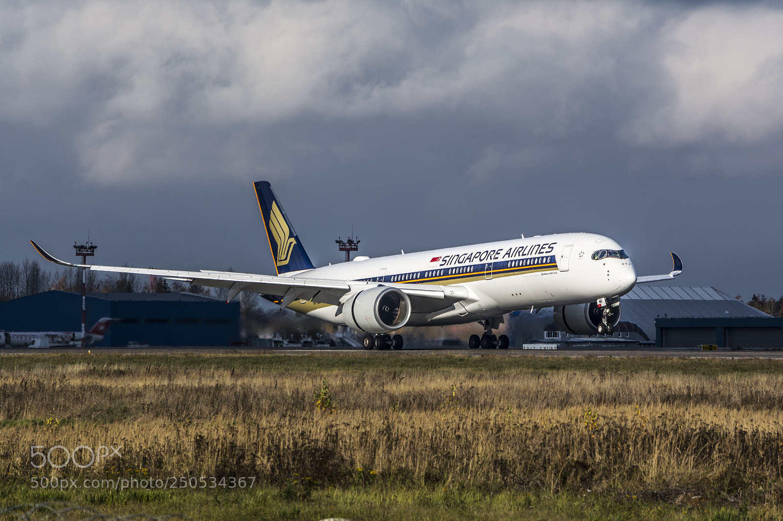 Nikon D5200 sample photo. Airbus a350 landing photography