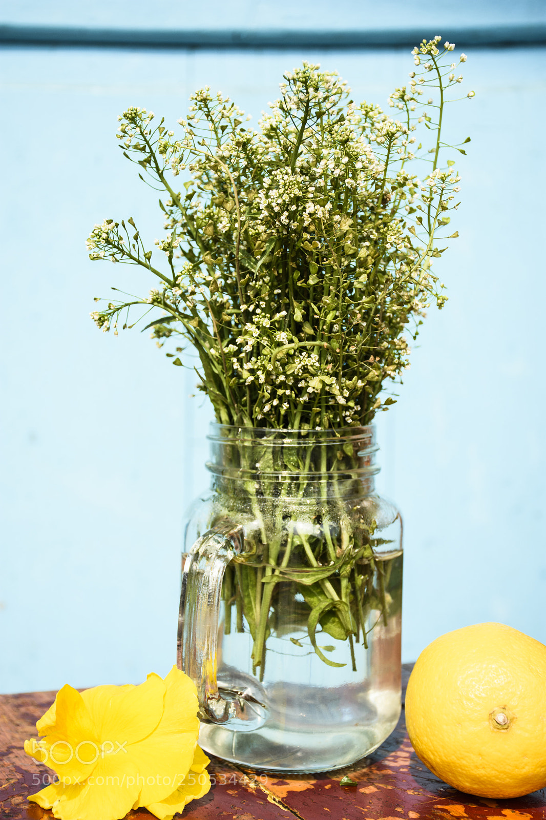 Nikon D7200 sample photo. Spring color photography