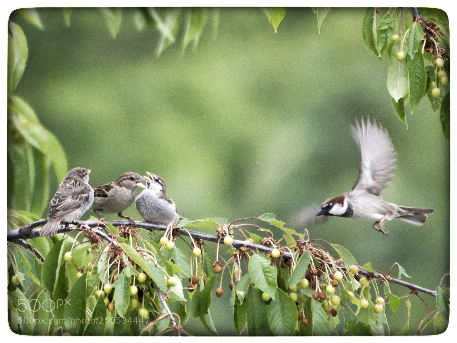 Nikon D7100 sample photo. Untitled photography