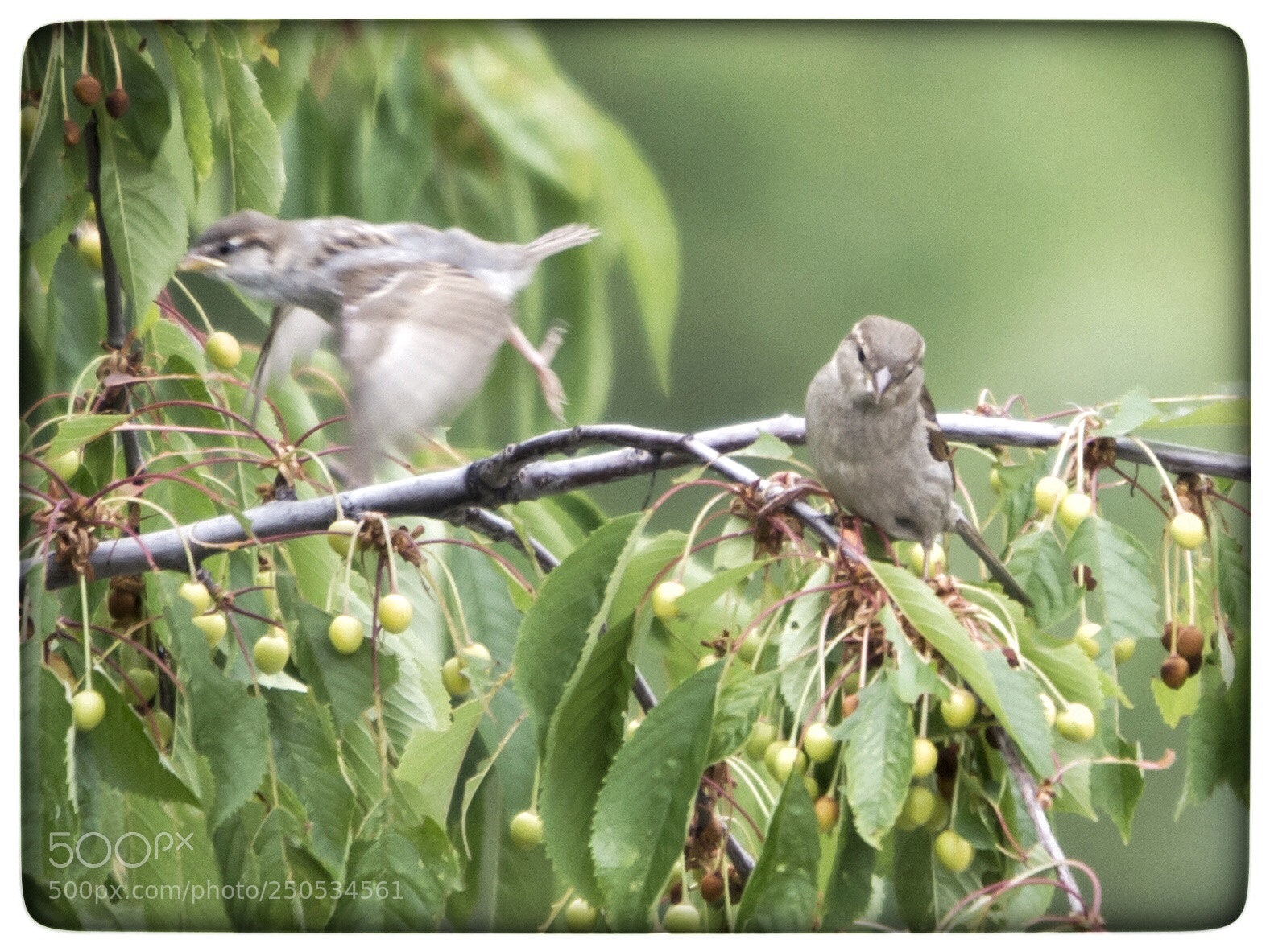 Nikon D7100 sample photo. Untitled photography