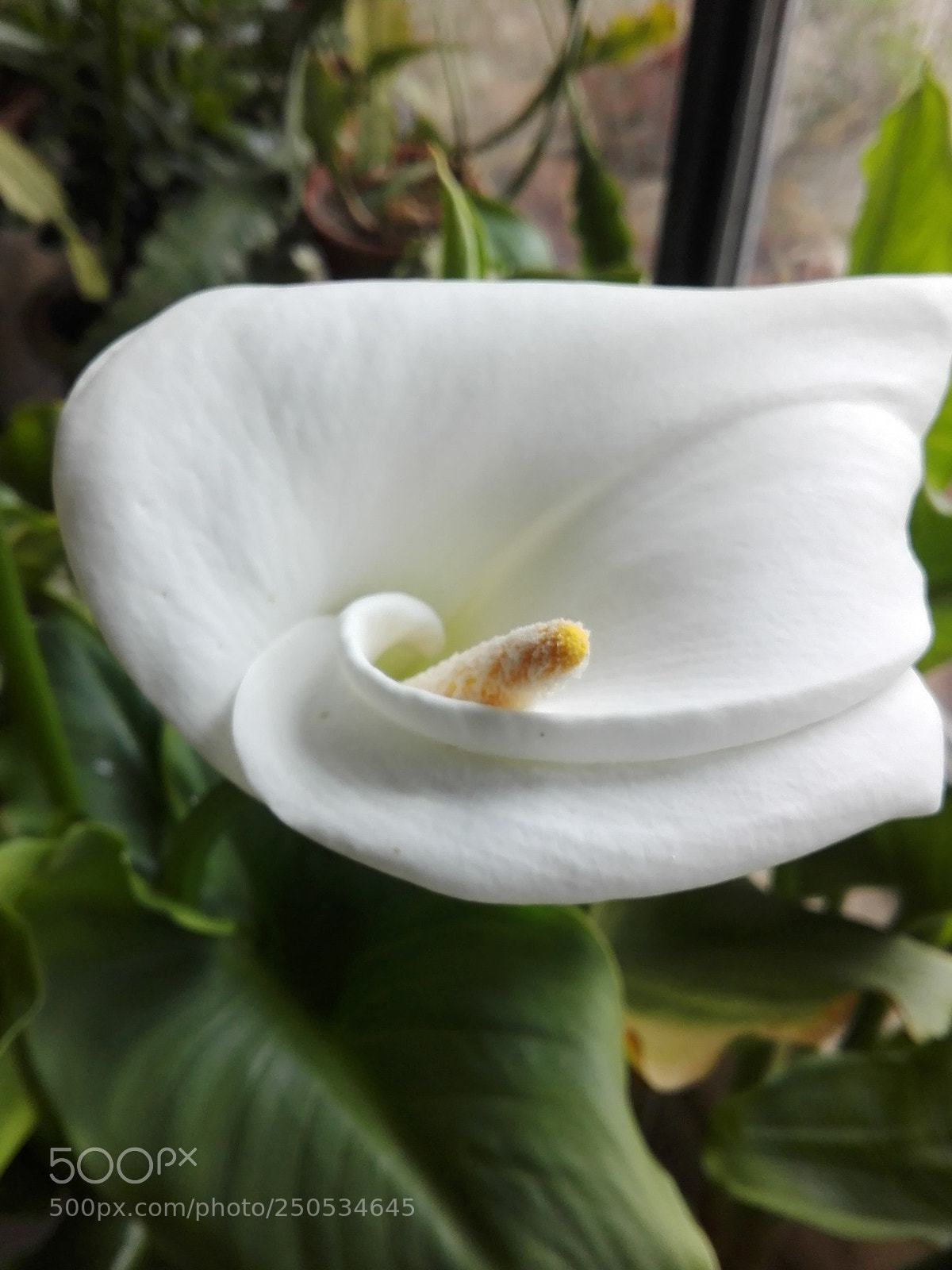 HUAWEI P8 Lite sample photo. Untitled photography