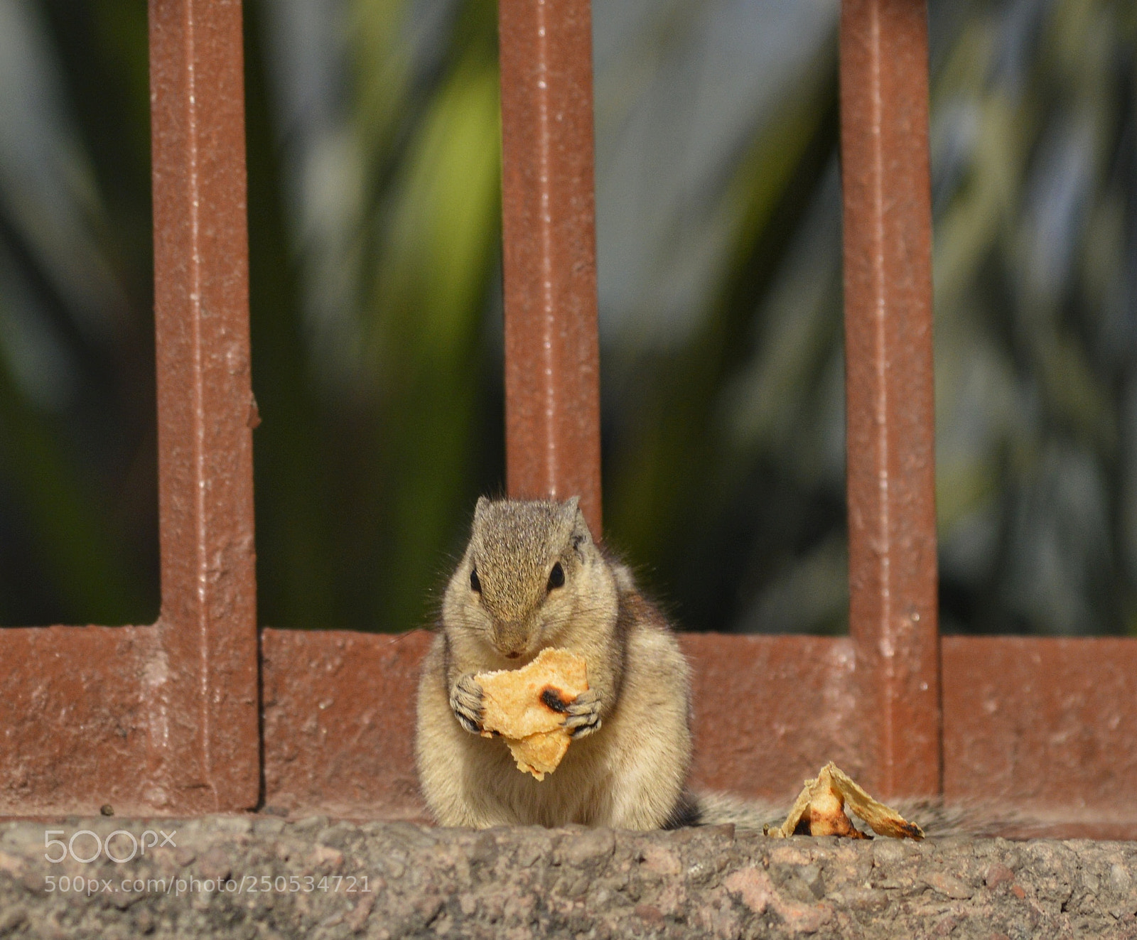 Nikon D3200 sample photo. Lunch break. photography