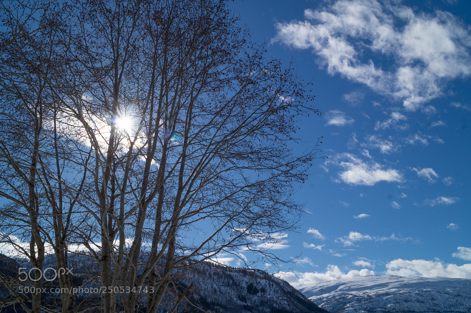 Sony SLT-A58 sample photo. Nice weather photography
