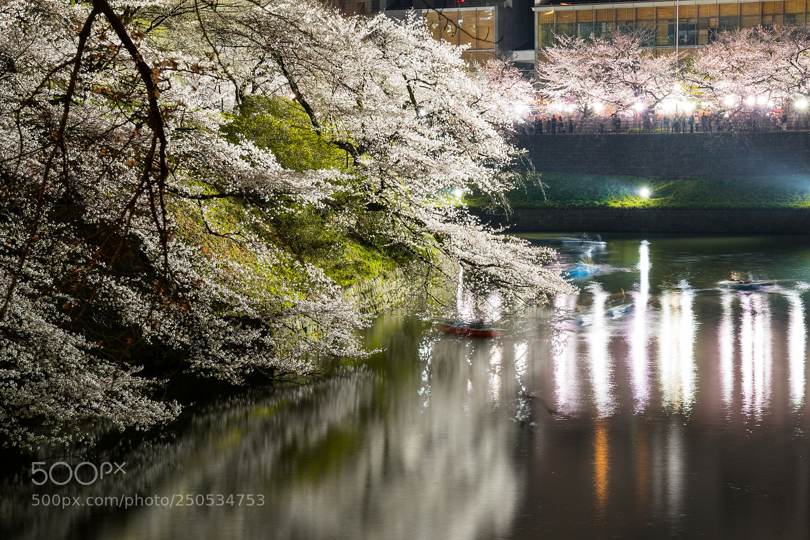 Sony a7R III sample photo. Dsc photography