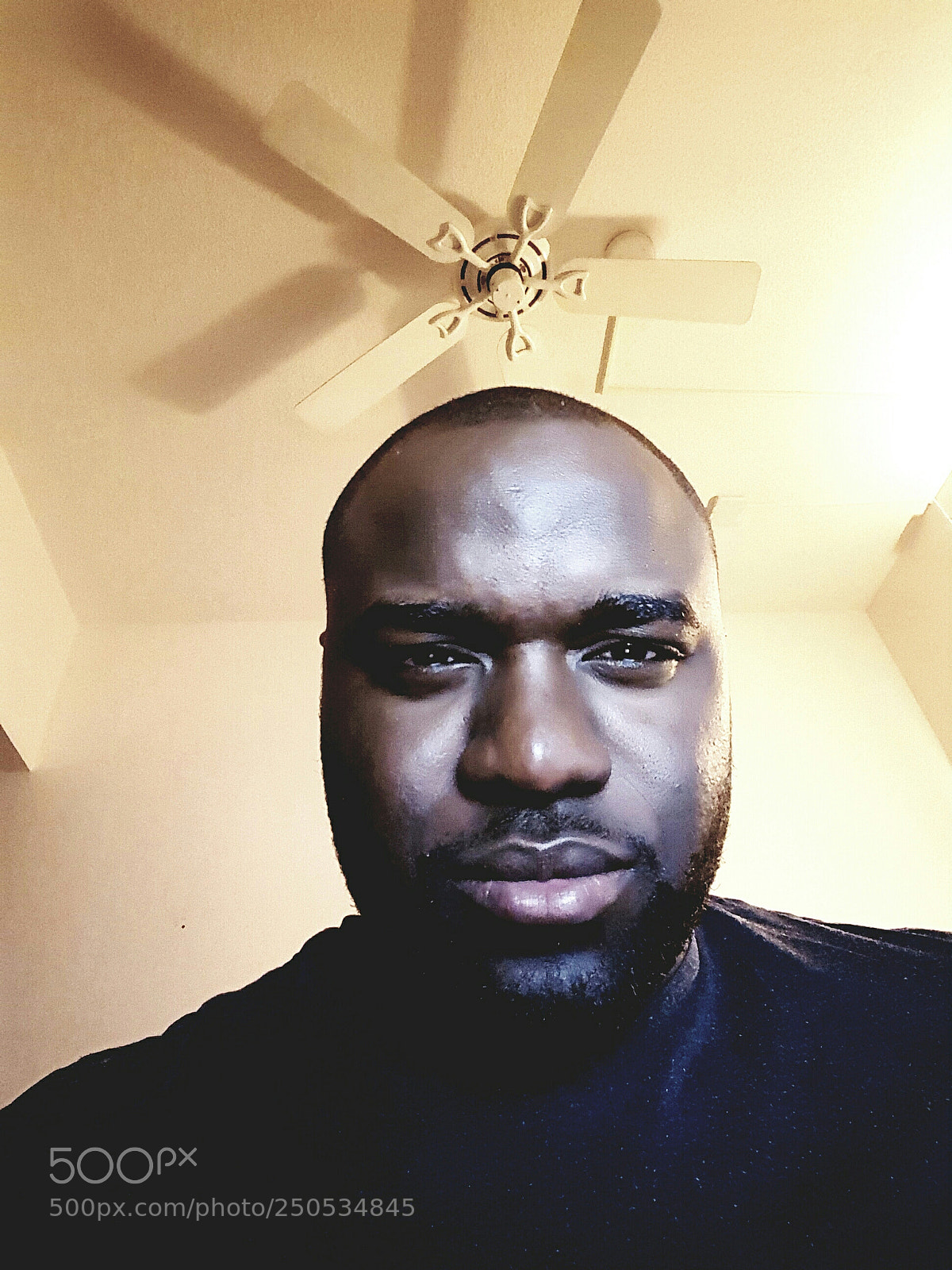 Samsung Galaxy Note5 sample photo. Intensity photography