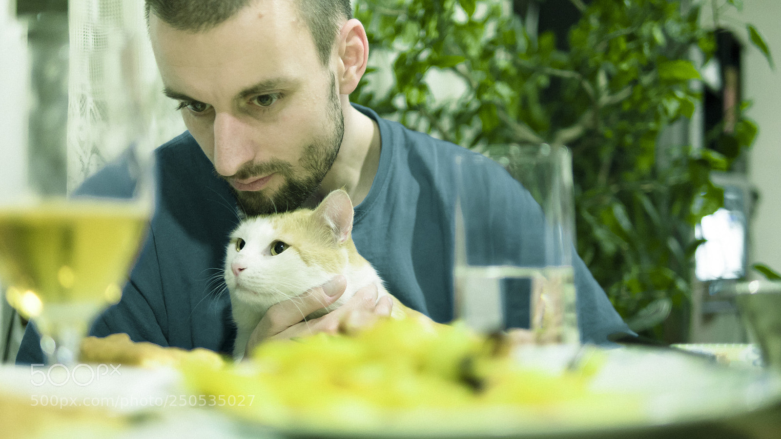Panasonic Lumix DMC-GH4 sample photo. Gg and bronx photography