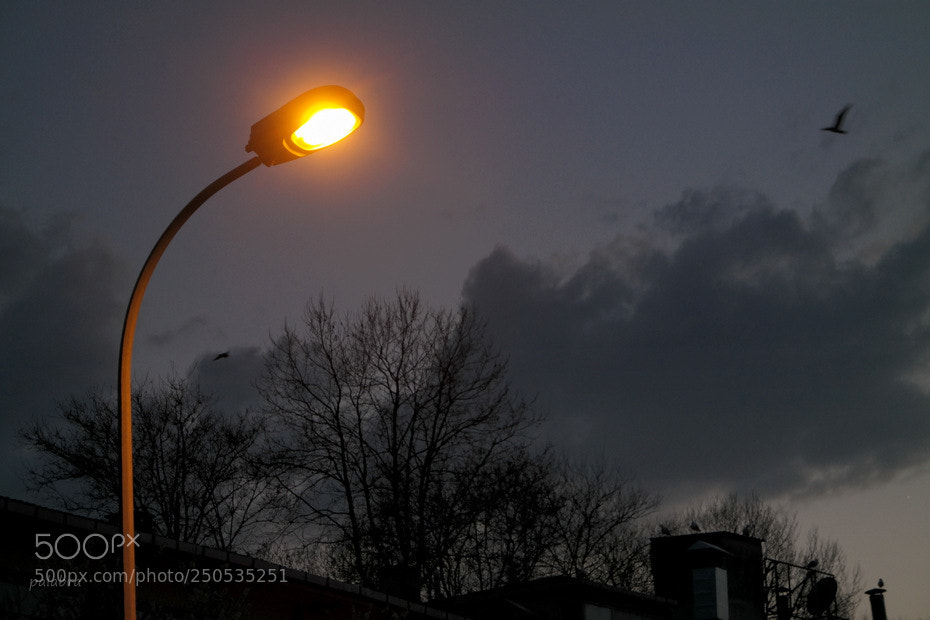 Samsung NX30 sample photo. ... photography