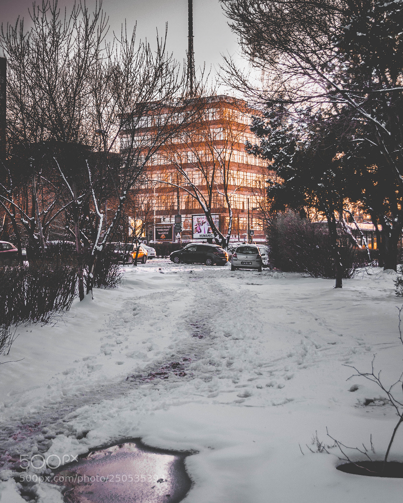 Nikon D3100 sample photo. Politehnica photography