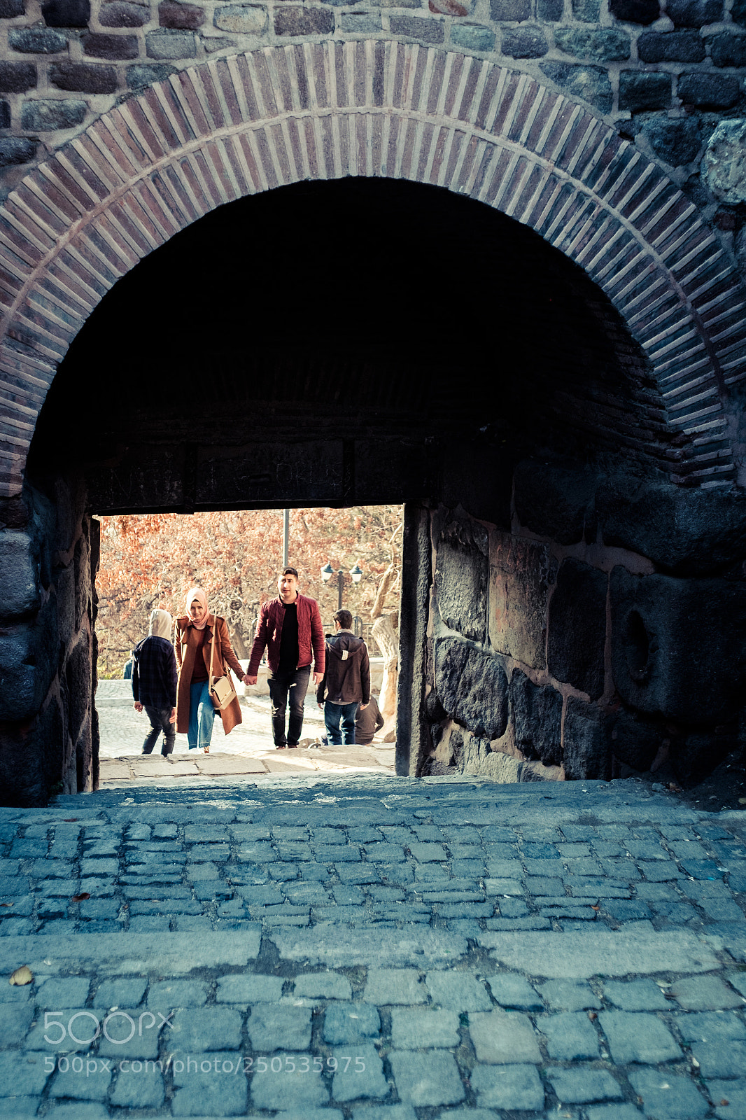 Fujifilm X-T1 sample photo. Natural frame photography