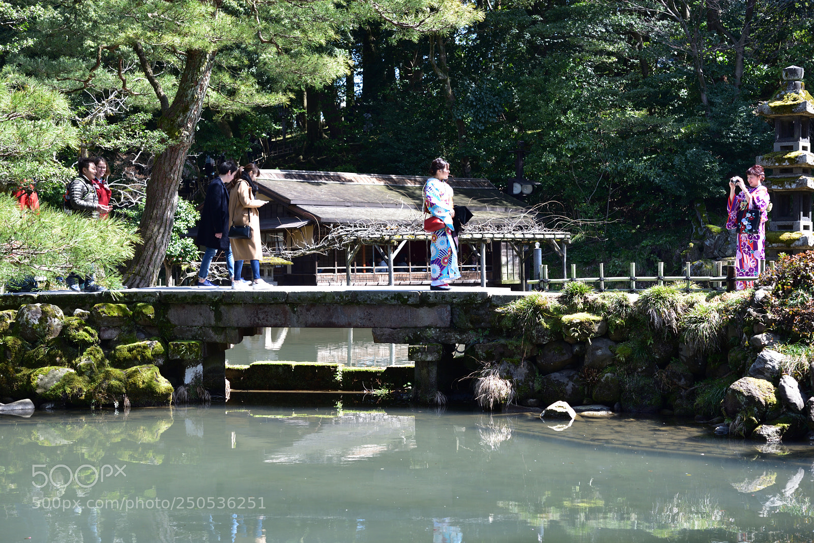 Nikon AF-S Micro-Nikkor 60mm F2.8G ED sample photo. 瓢池（ひさごいけ） 兼六園 金沢 (2) photography