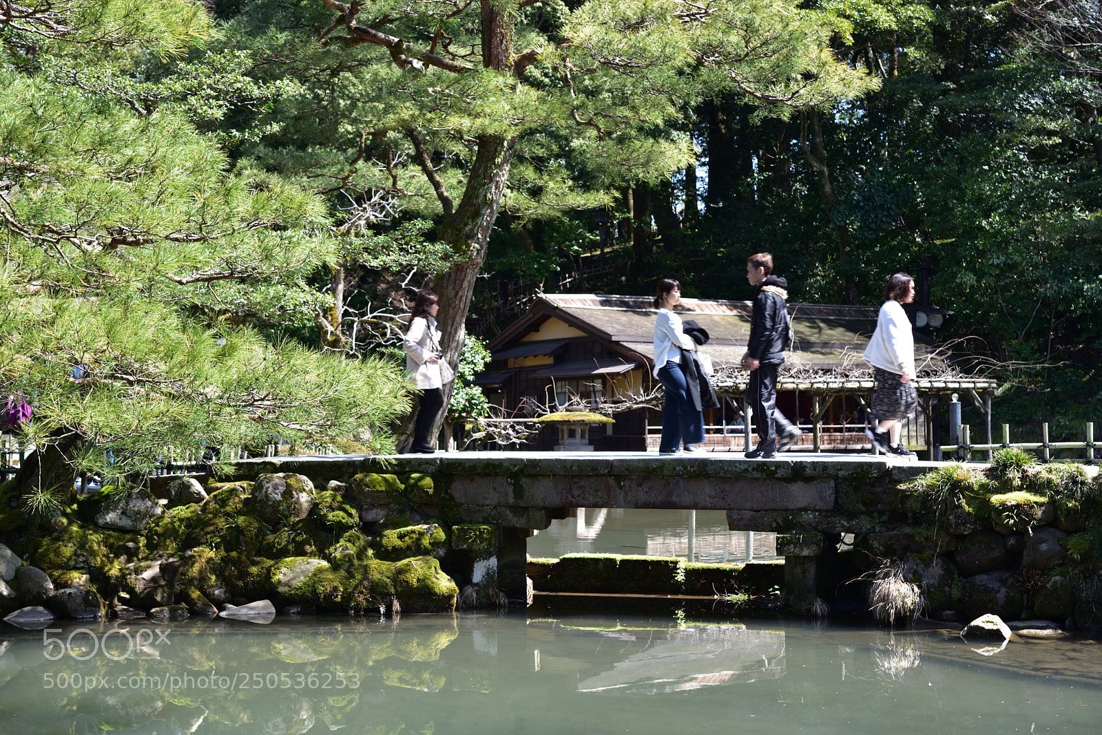 Nikon AF-S Micro-Nikkor 60mm F2.8G ED sample photo. 瓢池（ひさごいけ） 兼六園 金沢 photography