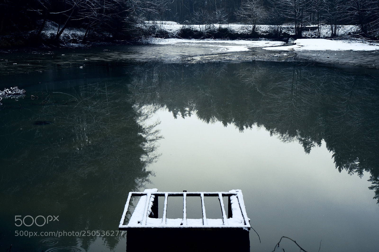 Nikon D7500 sample photo. Fishpond in winter photography