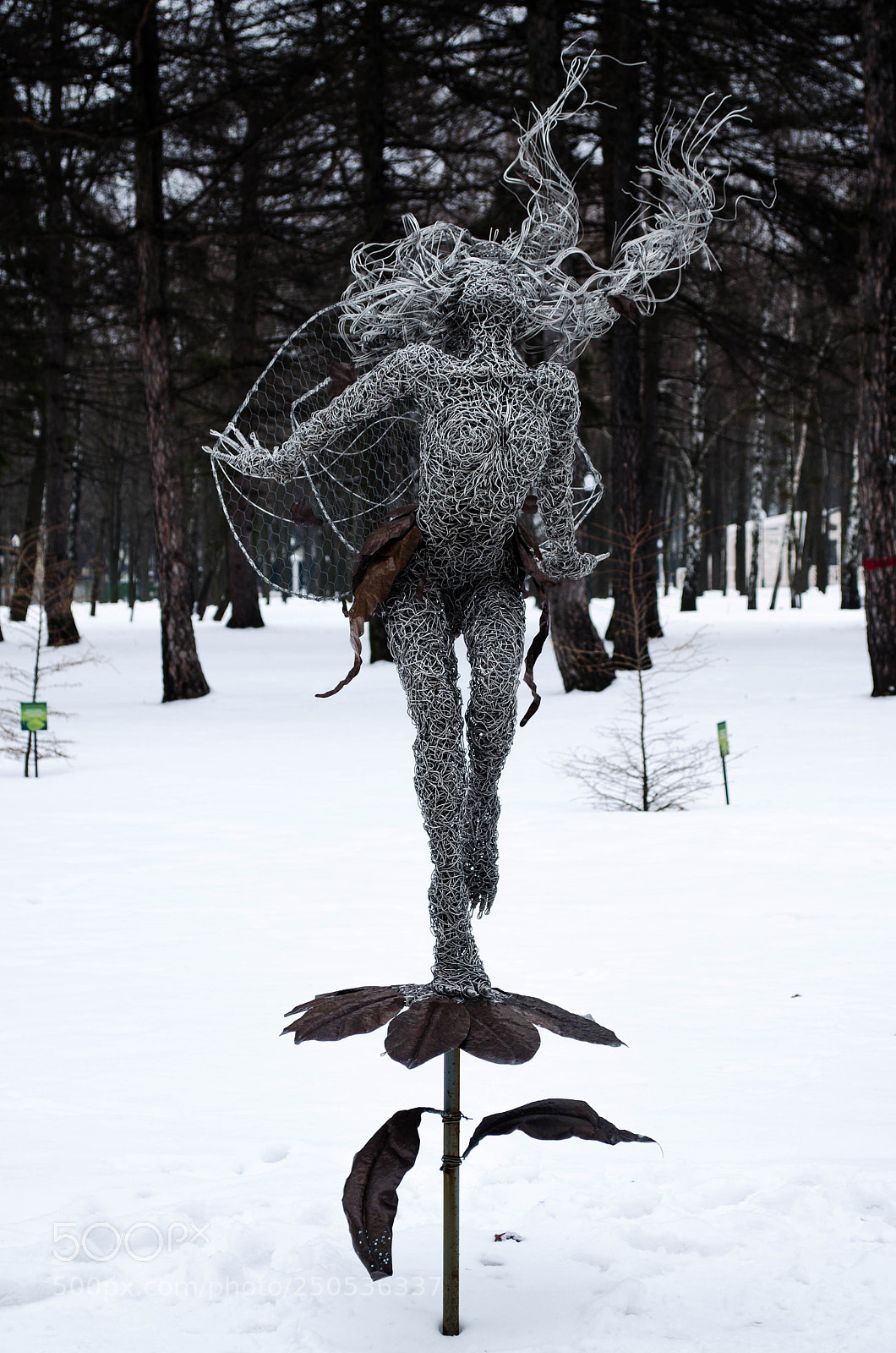 Nikon D5100 sample photo. Парк photography