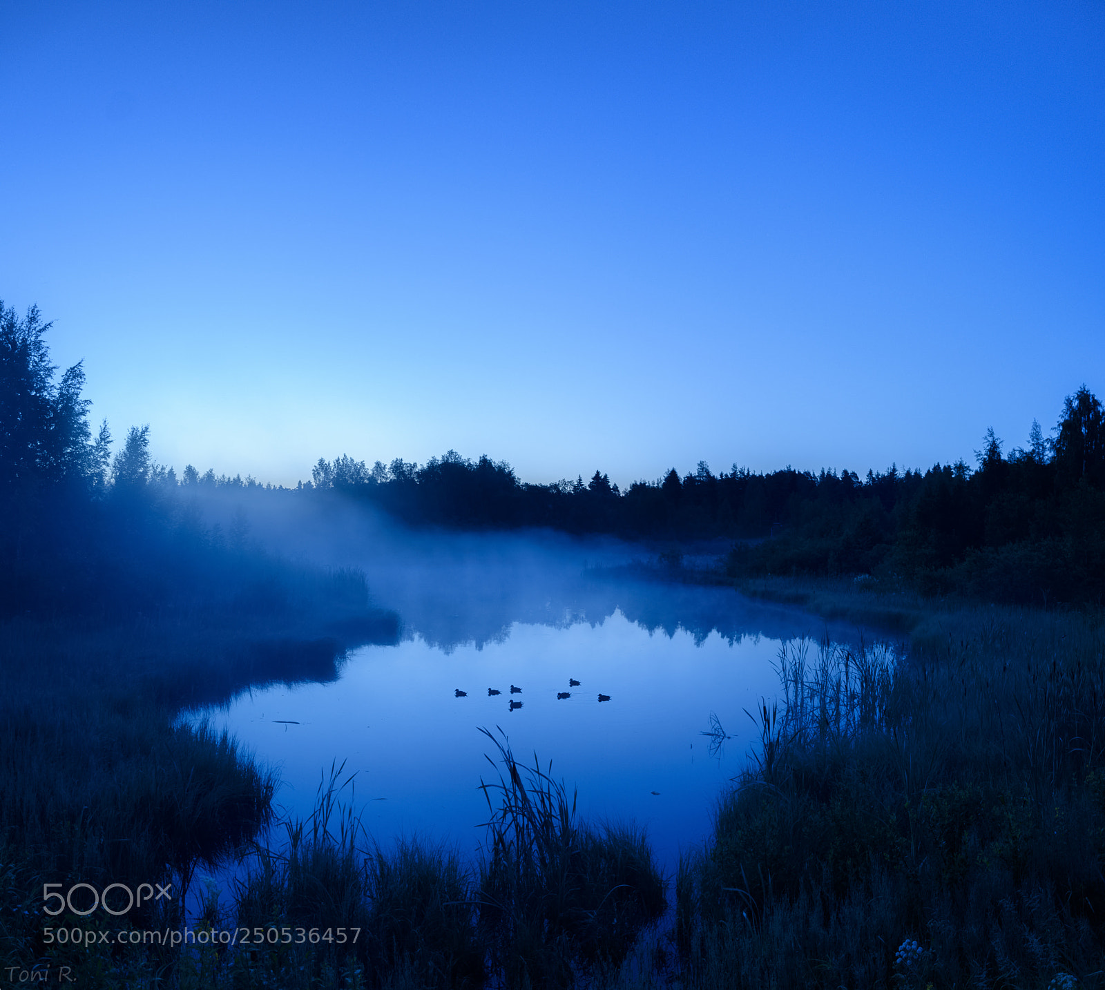 Nikon D7100 sample photo. Blue moment photography
