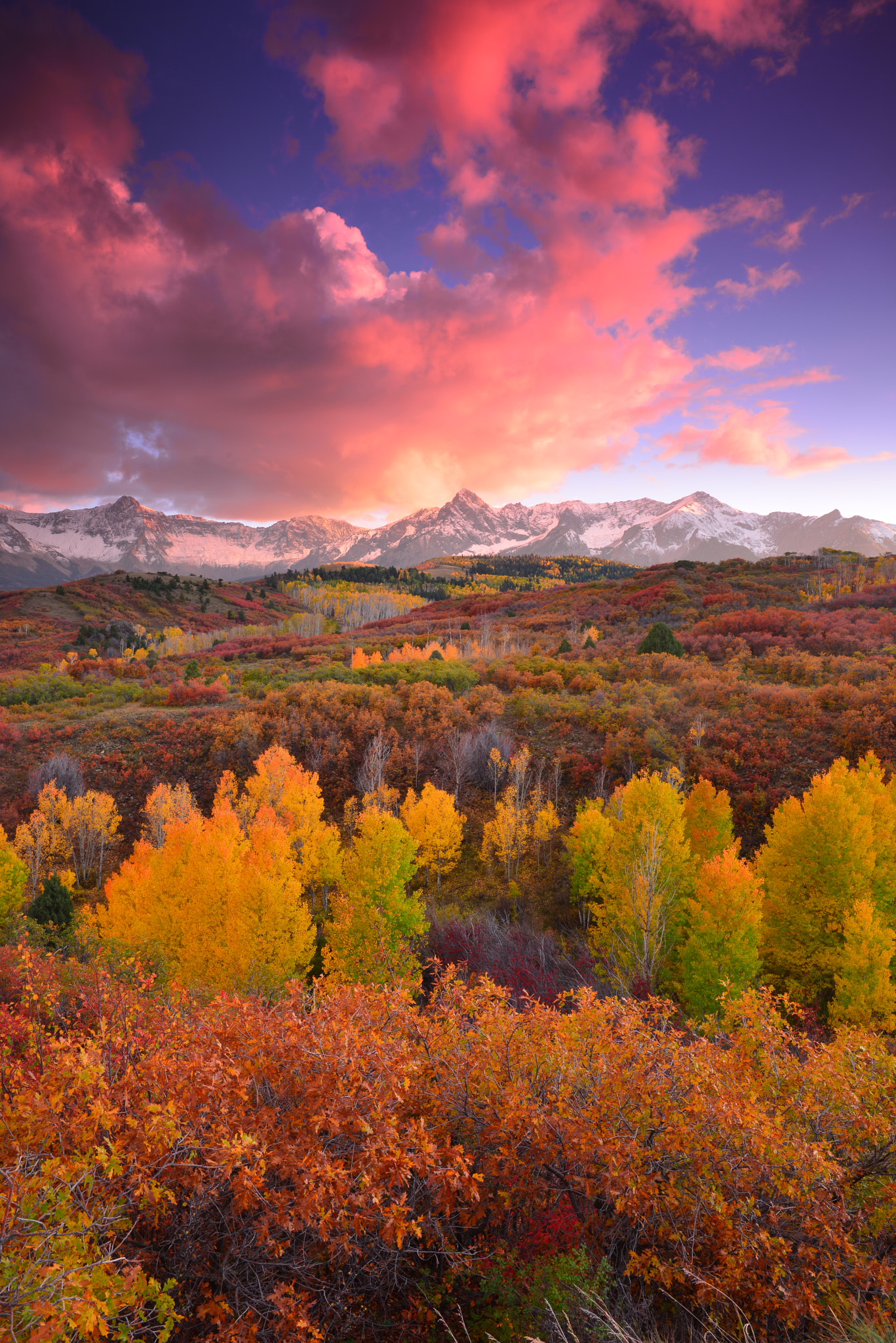 Nikon AF-S Nikkor 24-70mm F2.8G ED sample photo. Colorful colorado photography