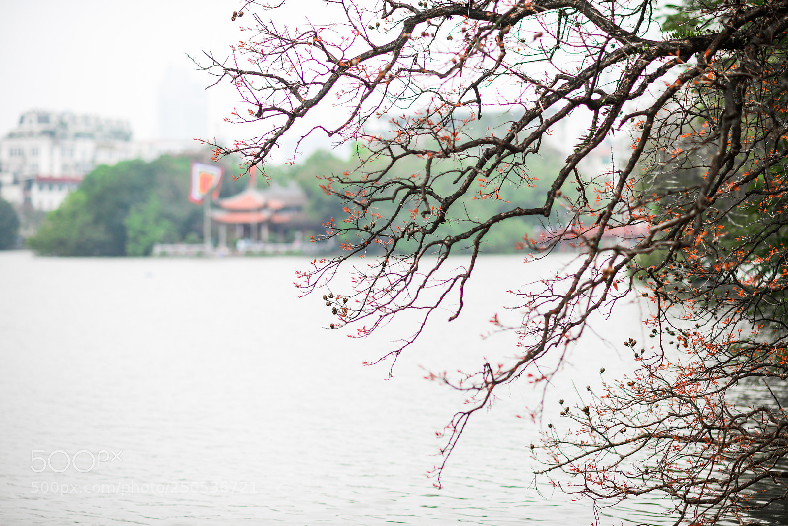 Nikon D600 sample photo. Mix1 photography