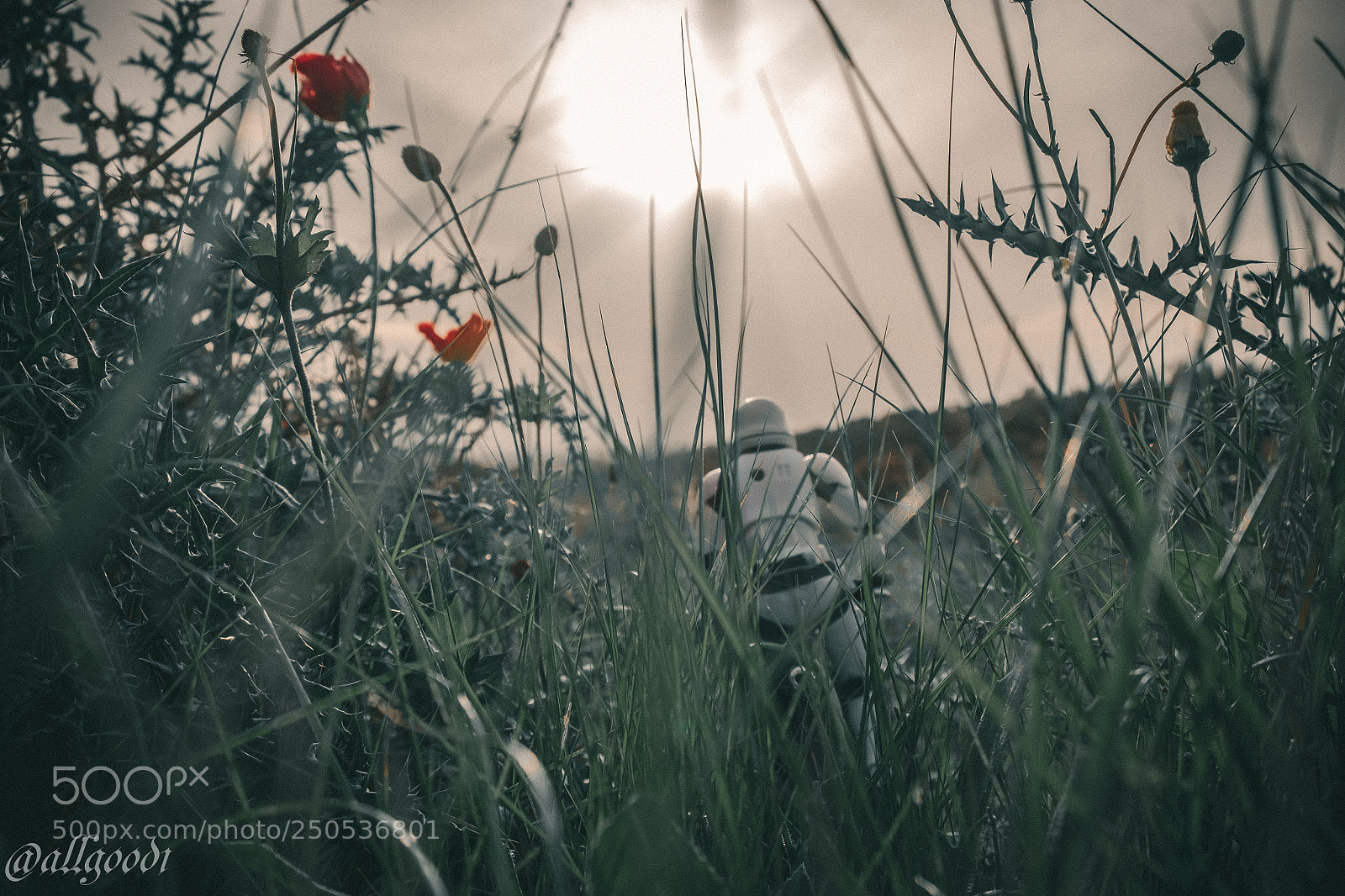 Fujifilm X-T1 sample photo. Bushland adventure photography