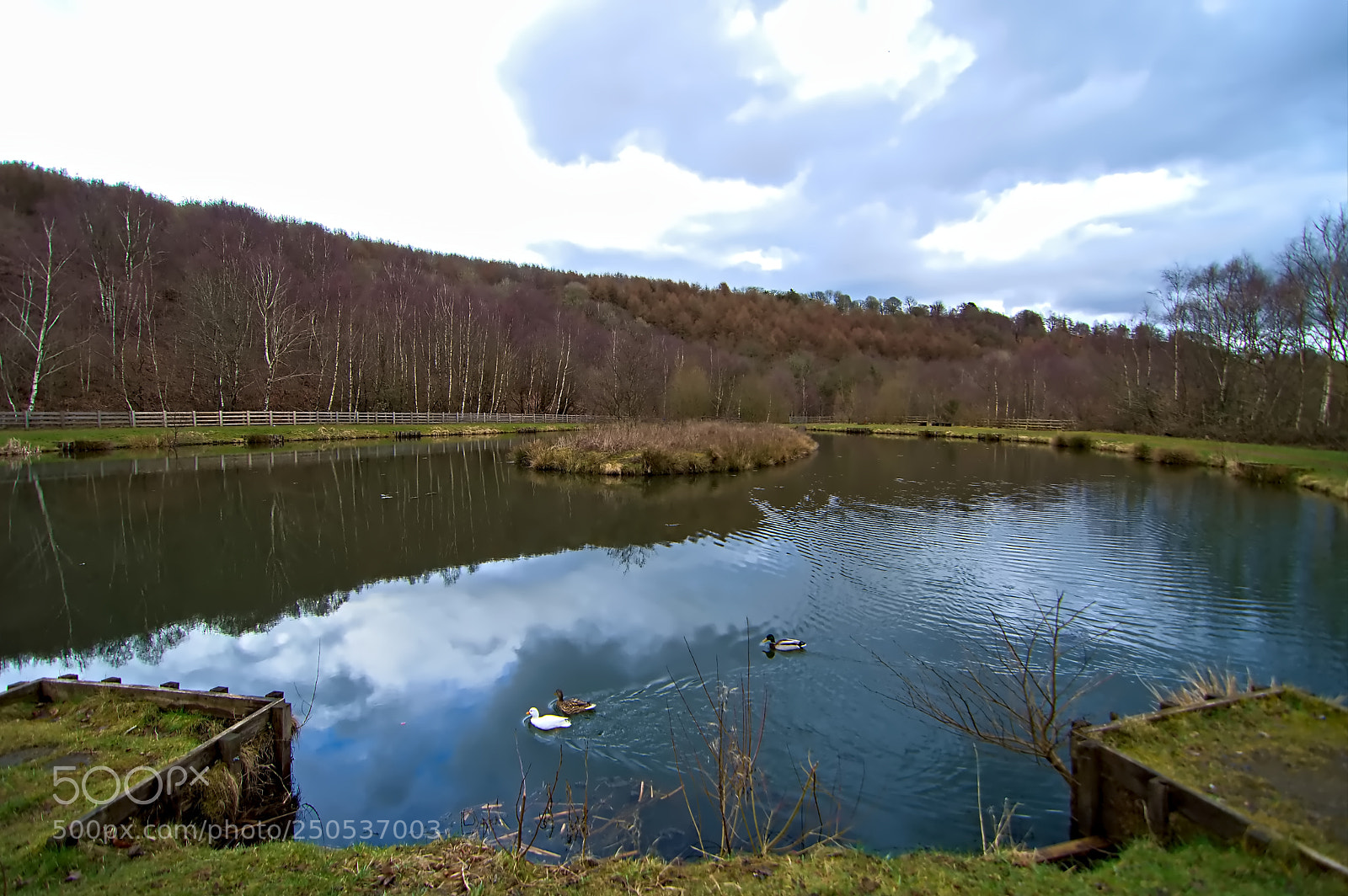 Nikon D3200 sample photo. Lake in reflection photography
