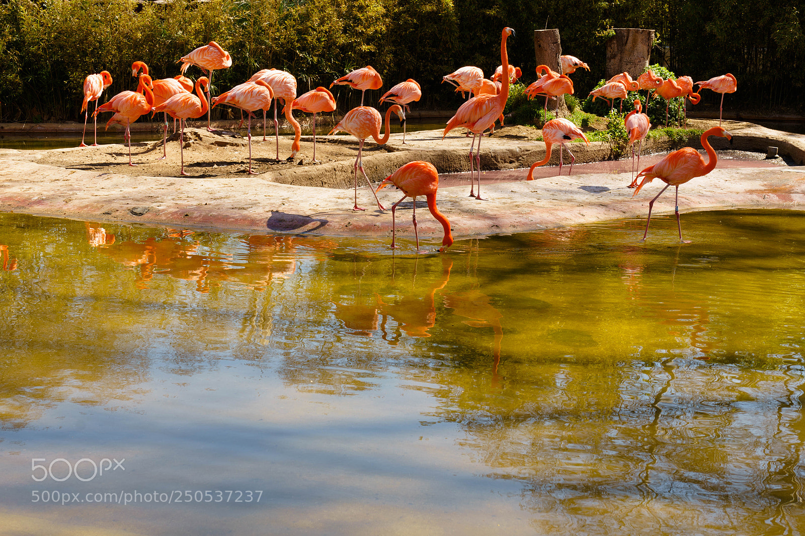 Sony a7 sample photo. Reflejos photography