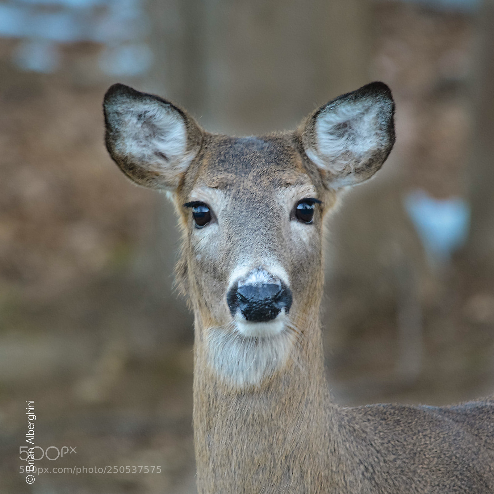 Nikon D7100 sample photo. Good morning photography