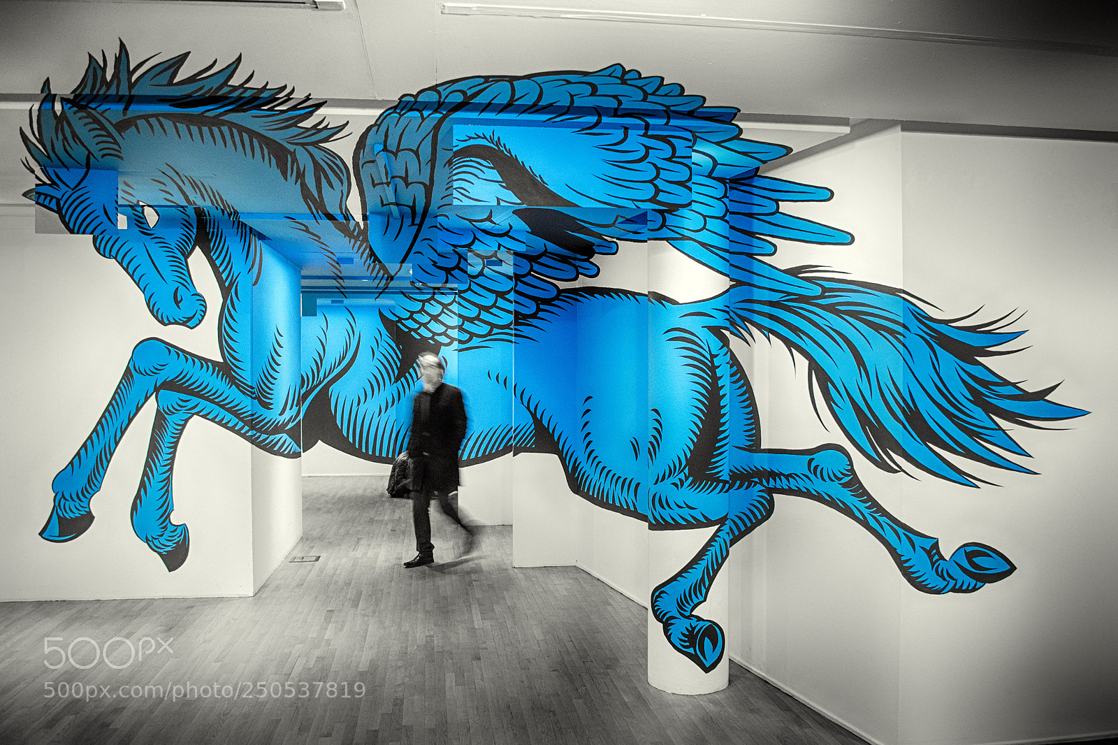 Nikon D7000 sample photo. Anamorphose photography