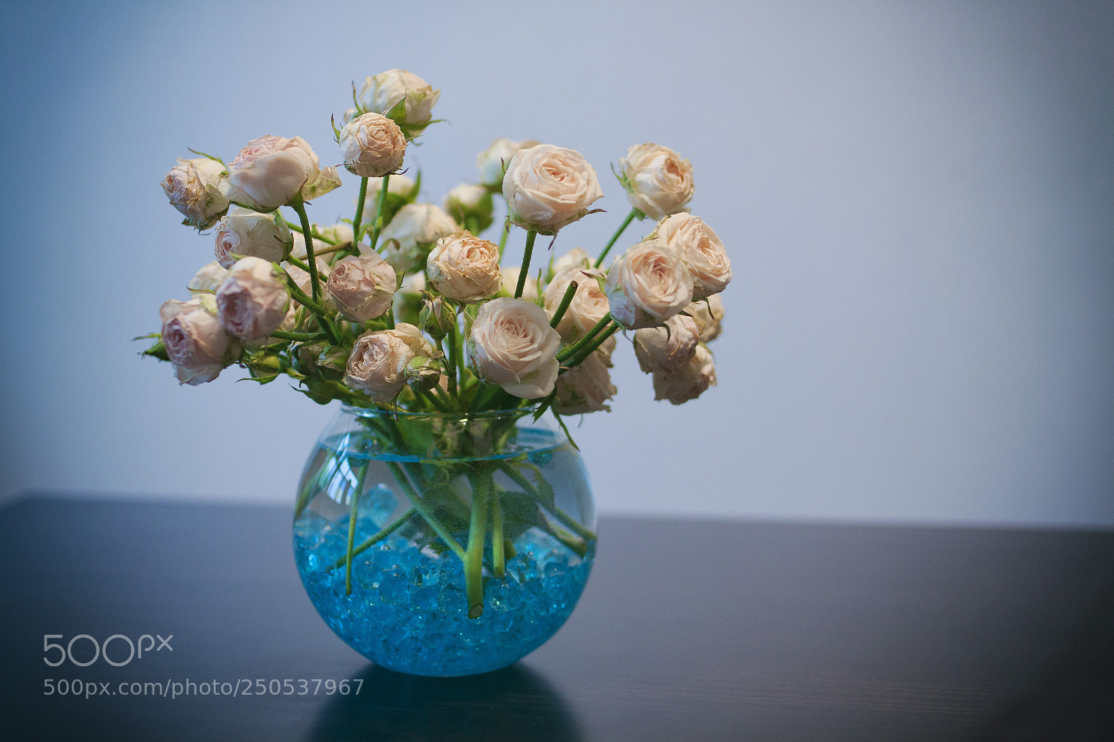 Canon EOS 500D (EOS Rebel T1i / EOS Kiss X3) sample photo. Flowers for her photography