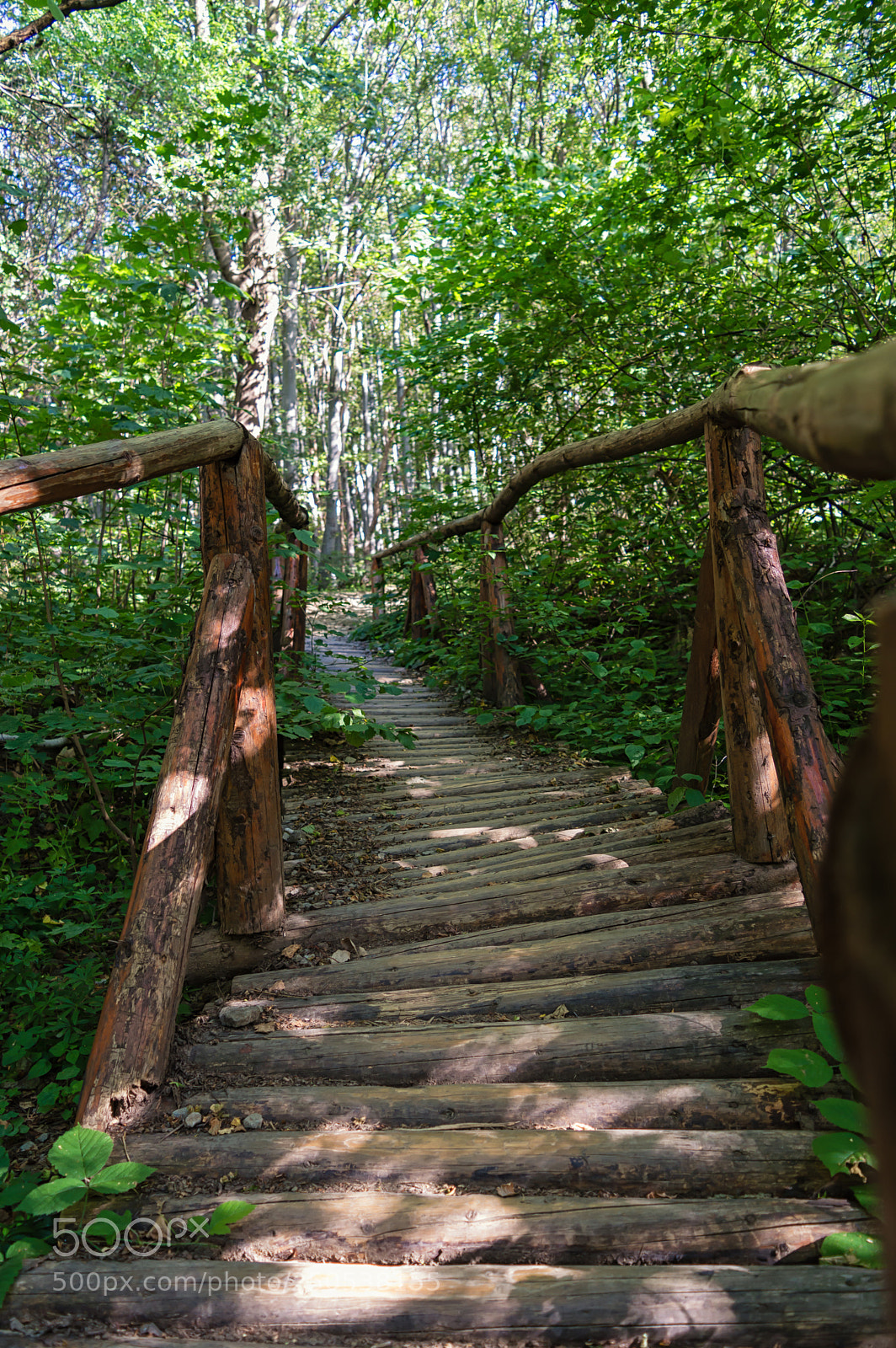 Nikon D3200 sample photo. A bridge over the photography