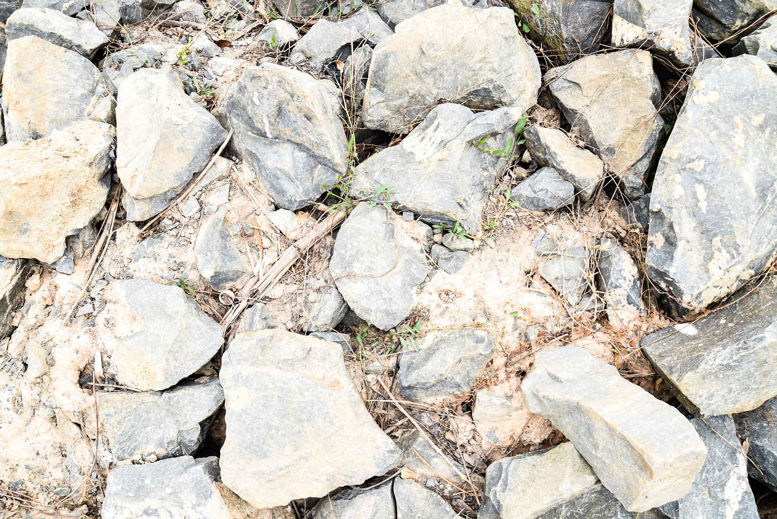 Nikon D5300 sample photo. Stone on the ground photography