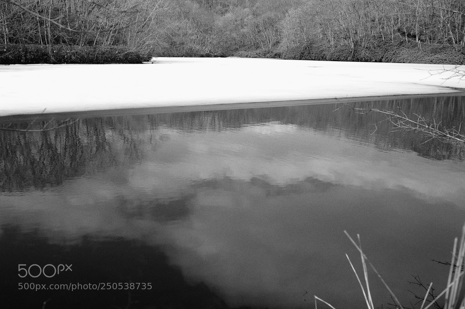 Nikon D700 sample photo. A pond in march photography