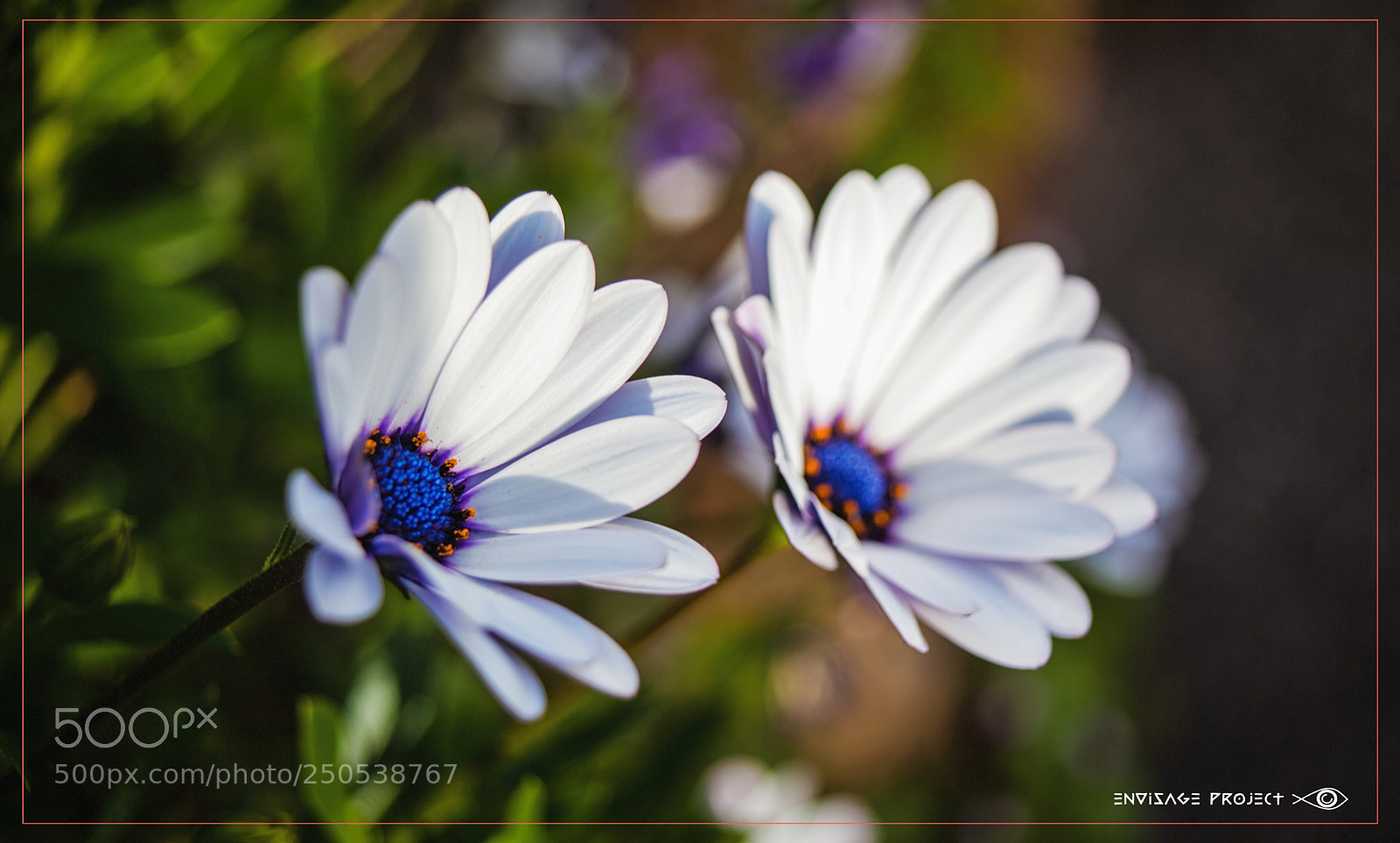 Canon EOS 5D Mark II sample photo. Pair photography