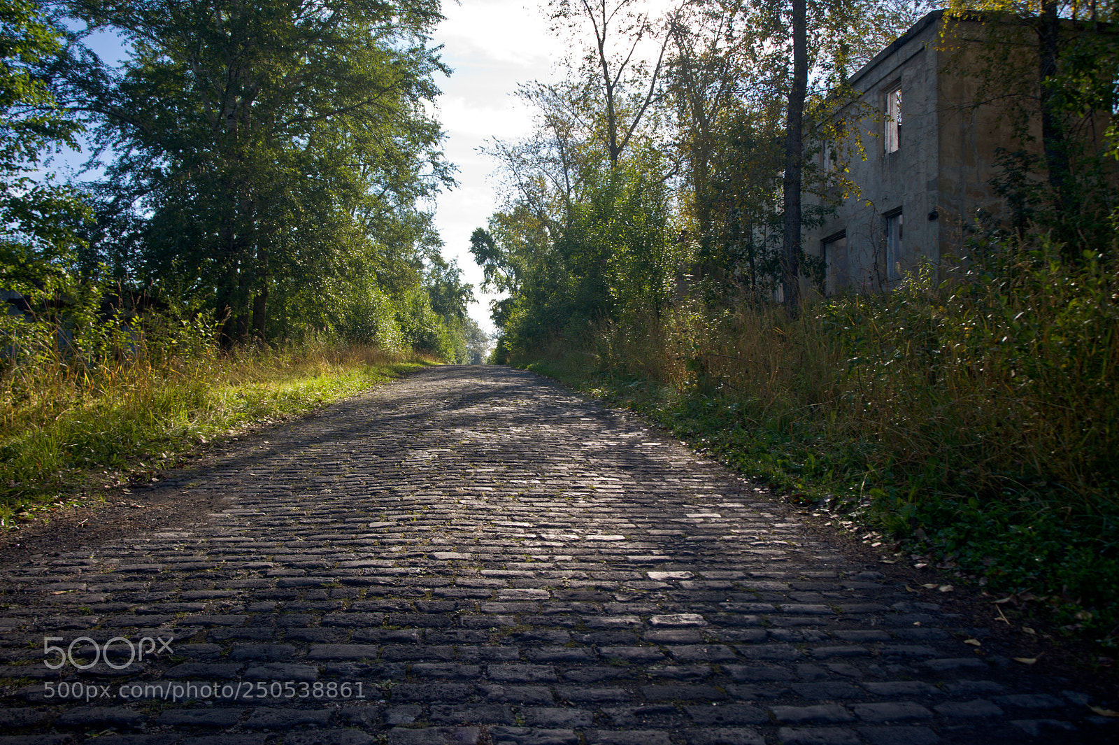 Nikon D700 sample photo. Улица в заброшенной части Кизела photography