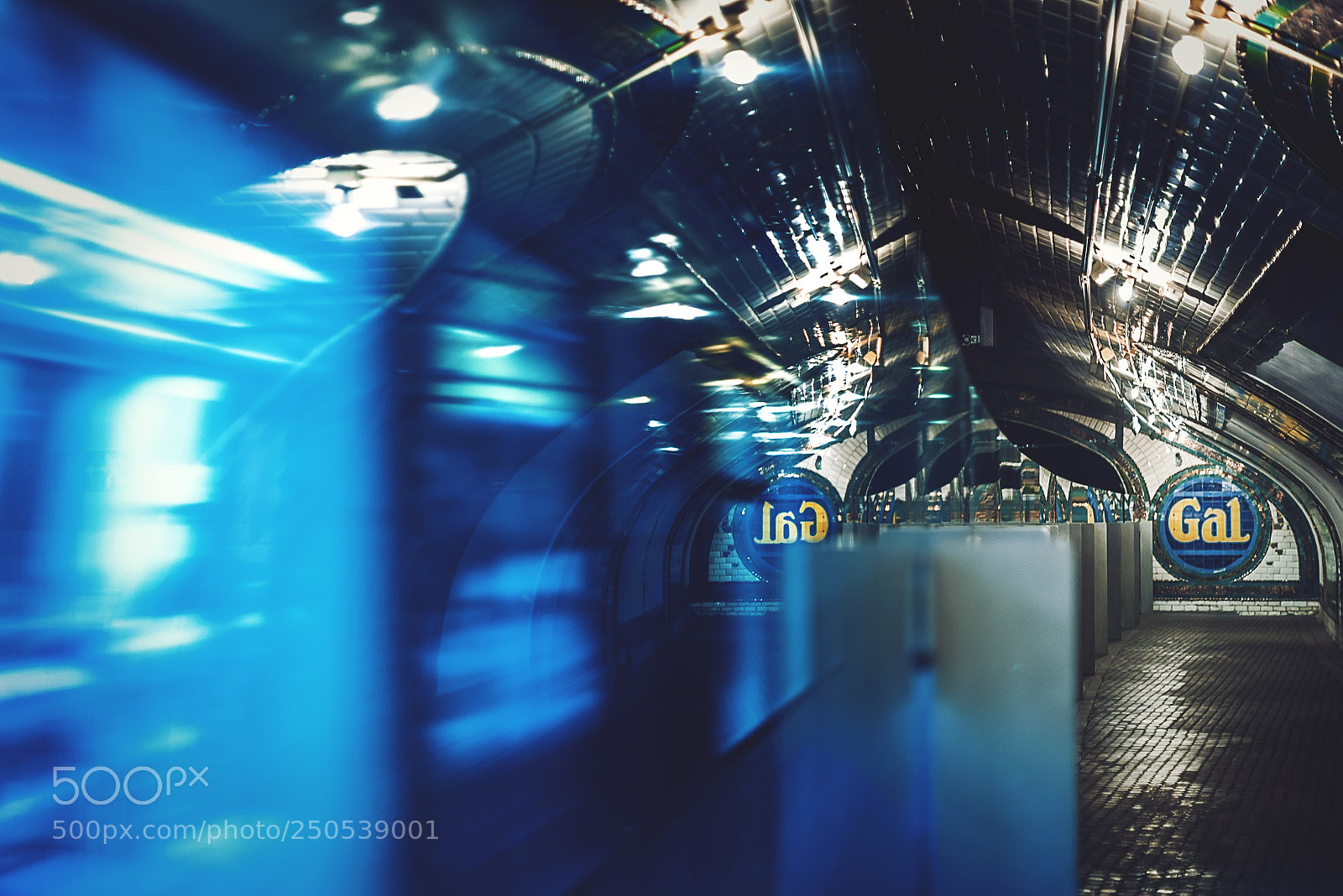 Nikon D600 sample photo. Passing subway photography