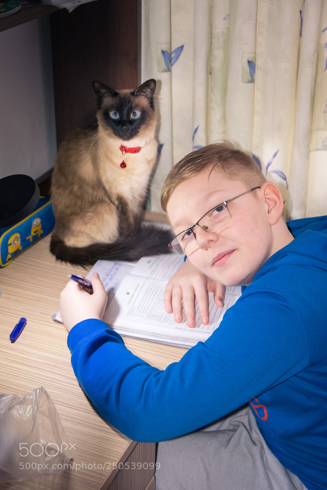 Nikon D5300 sample photo. Dsc photography