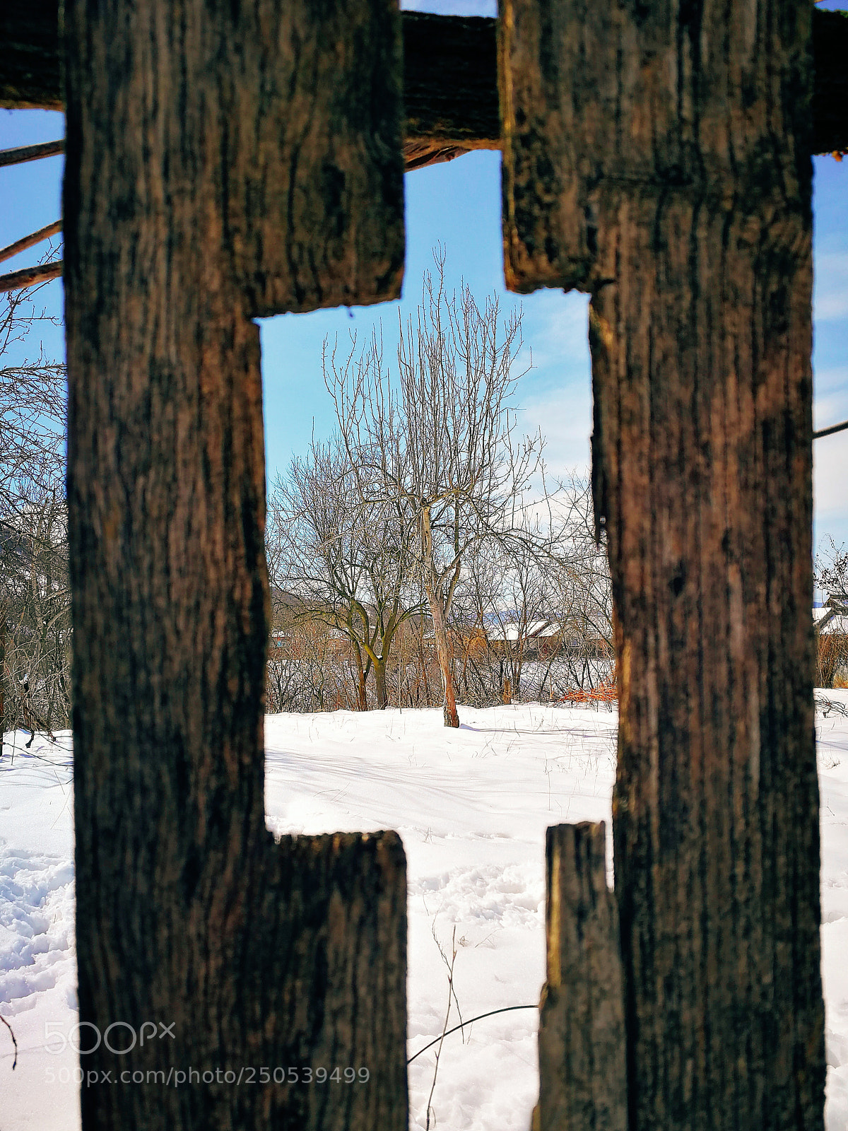 HUAWEI P10 sample photo. Frame photography