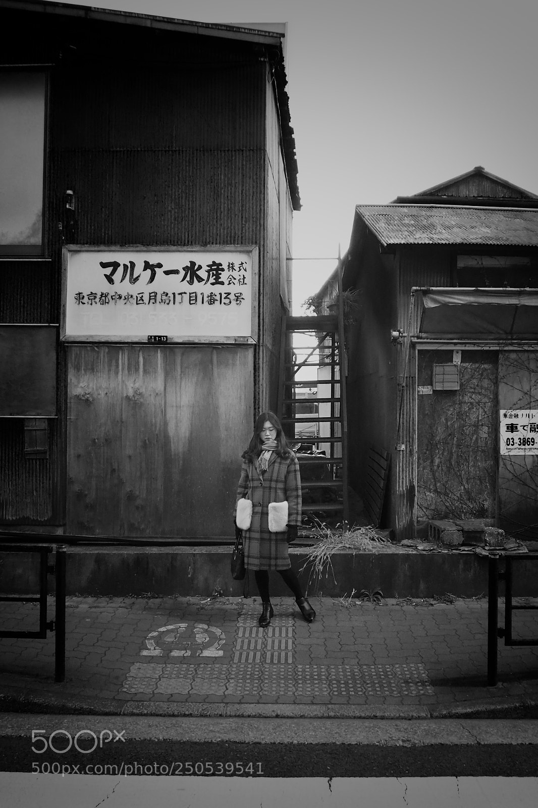 Olympus OM-D E-M10 II sample photo. Tukishima photography
