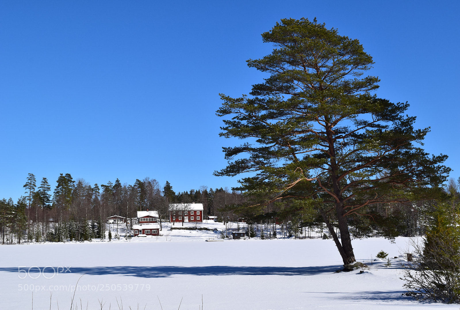 Nikon D3300 sample photo. Winter in småland photography