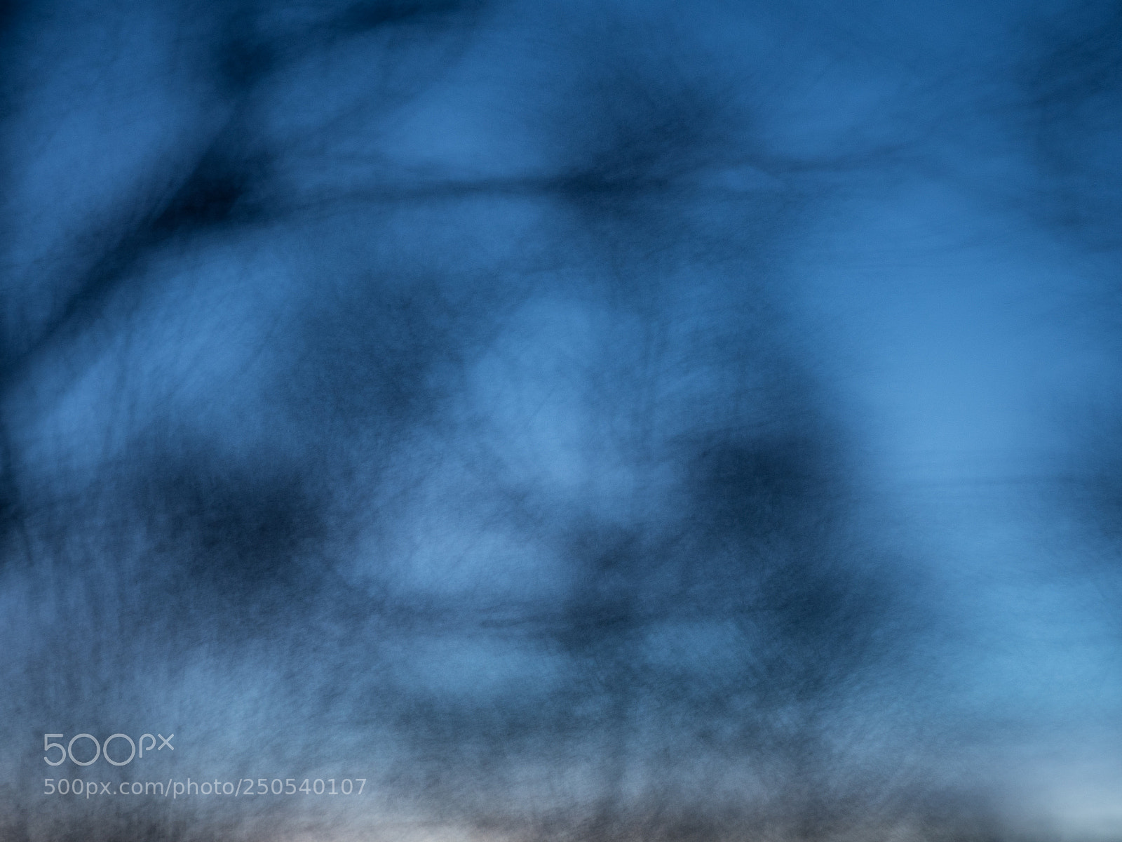 Olympus OM-D E-M5 II sample photo. Tree in the evening photography